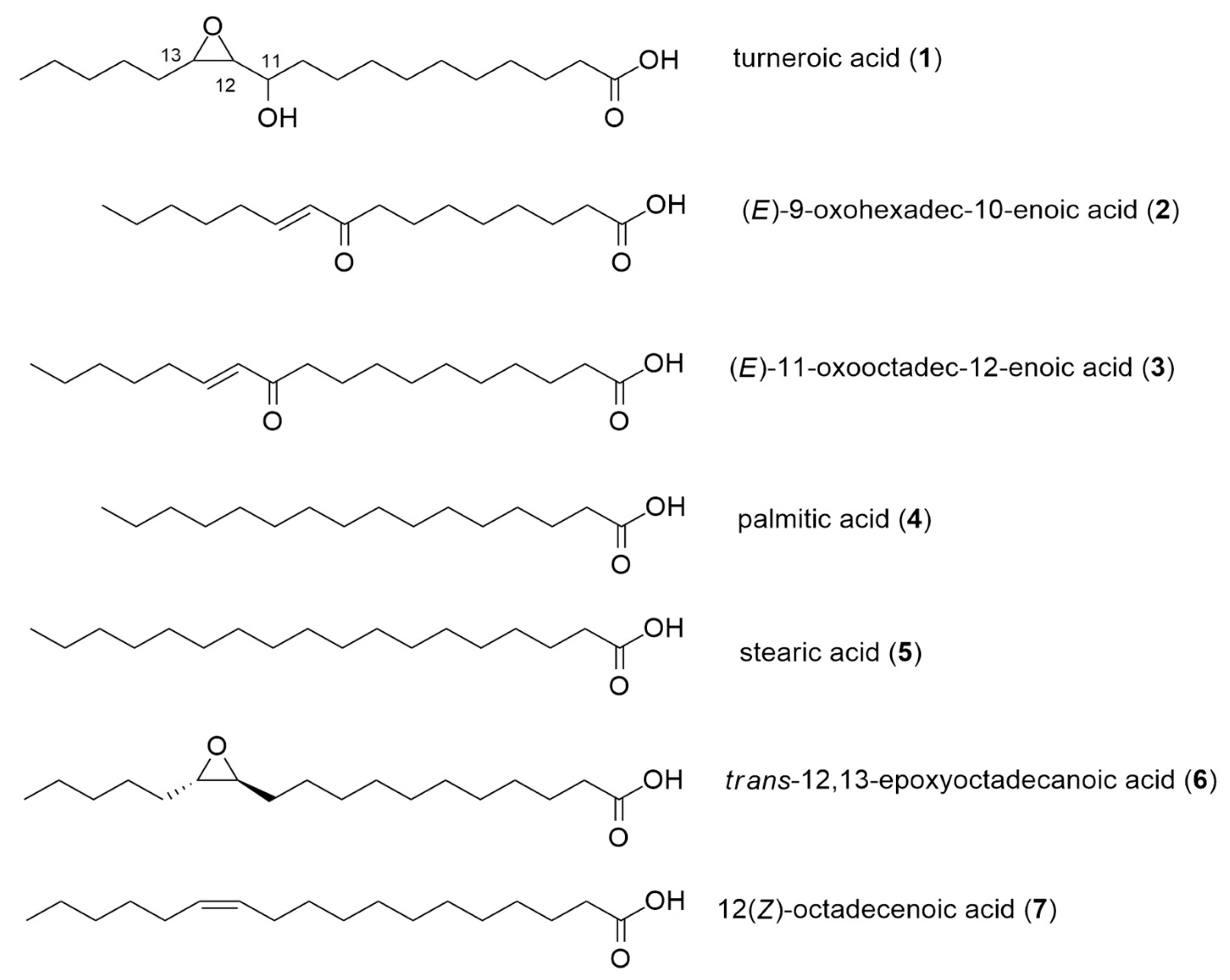 Marinedrugs 18 00656 g002 Marinedrugs 18 00656 g002