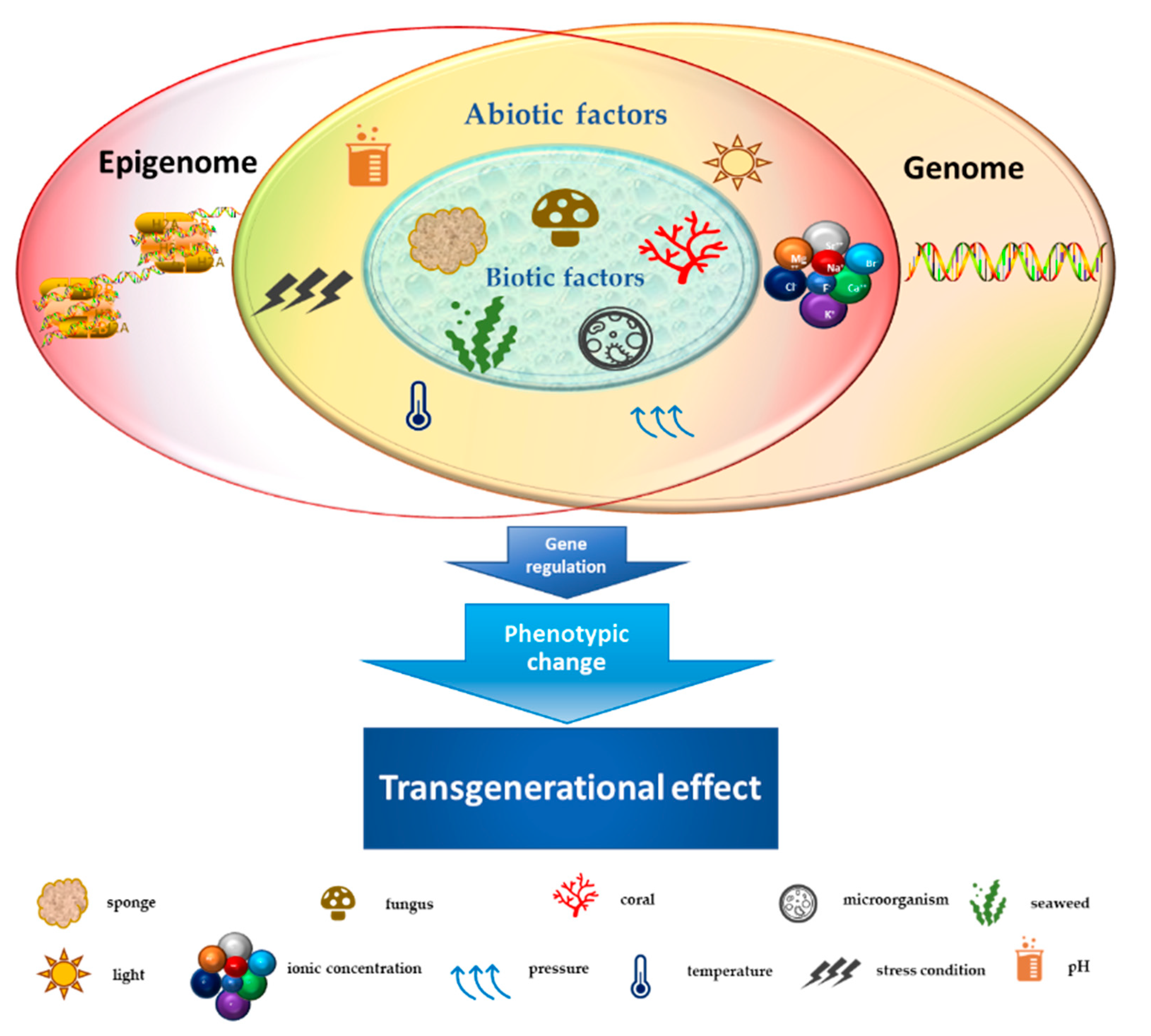 Marinedrugs 19 00015 g001