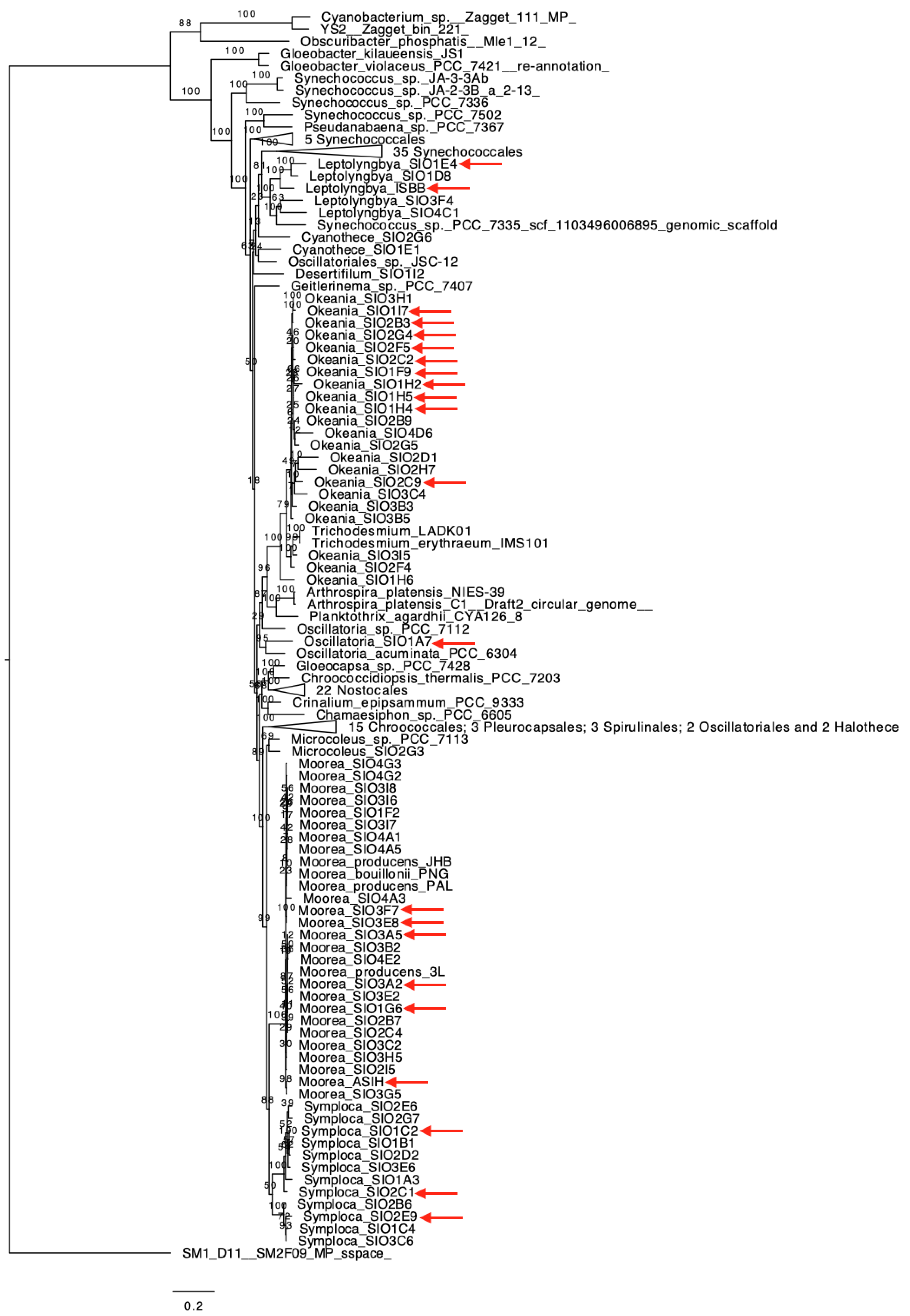 Marinedrugs 19 00020 g001