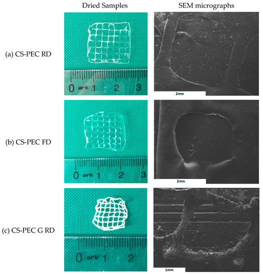 Pectin-GPTMS-Based Biomaterial: toward a Sustainable Bioprinting of 3D  scaffolds for Tissue Engineering Application