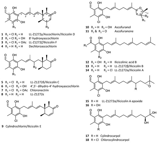 Marine Drugs Free Full Text Bioactive Ascochlorin Analogues From The Marine Derived Fungus Stilbella Fimetaria Html