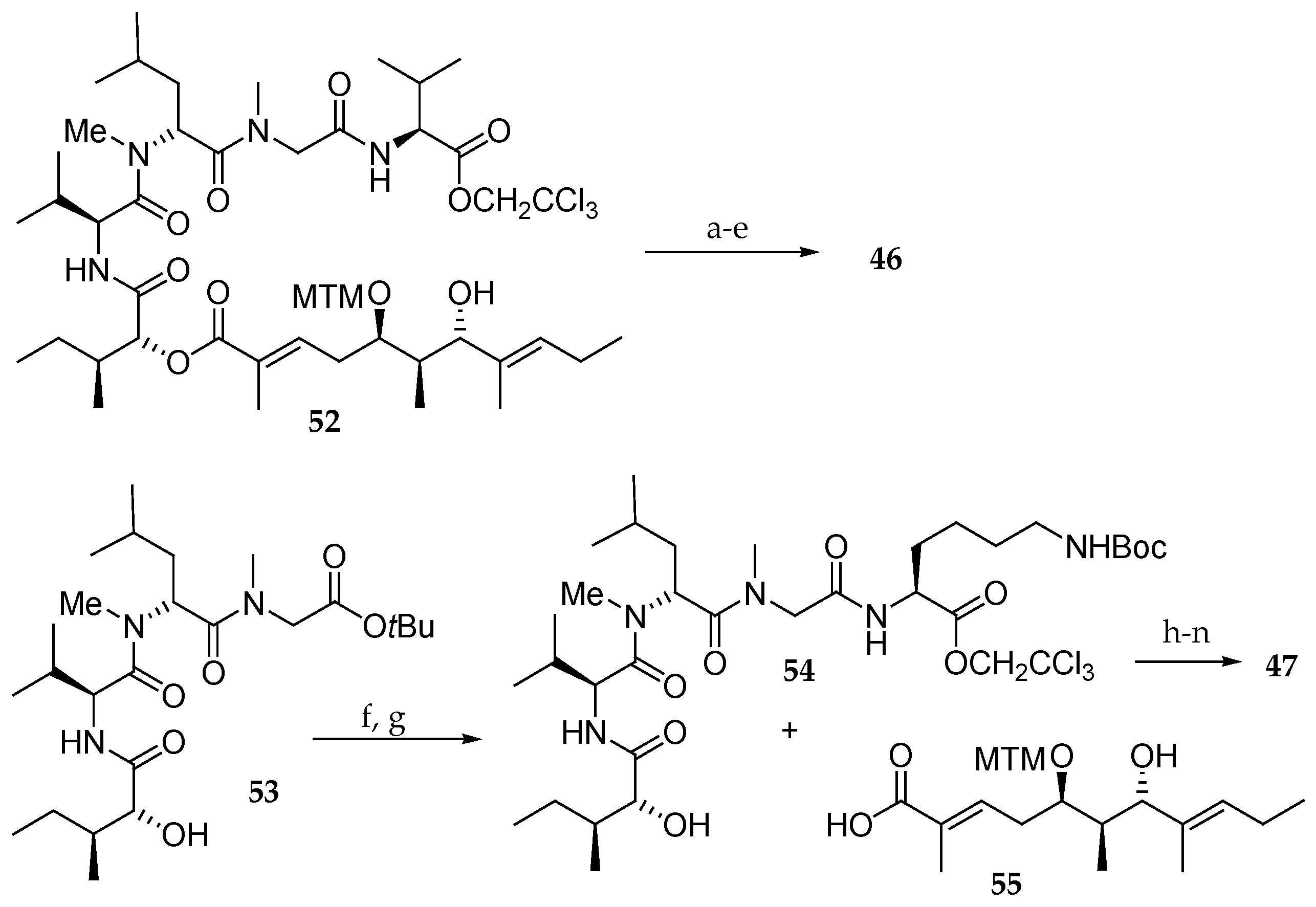 Marine Drugs Free Full Text Synthesis And Biological Activities Of Cyclodepsipeptides Of Aurilide Family From Marine Origin Html