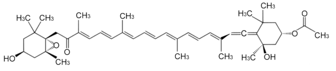 Marinedrugs 19 00114 g001