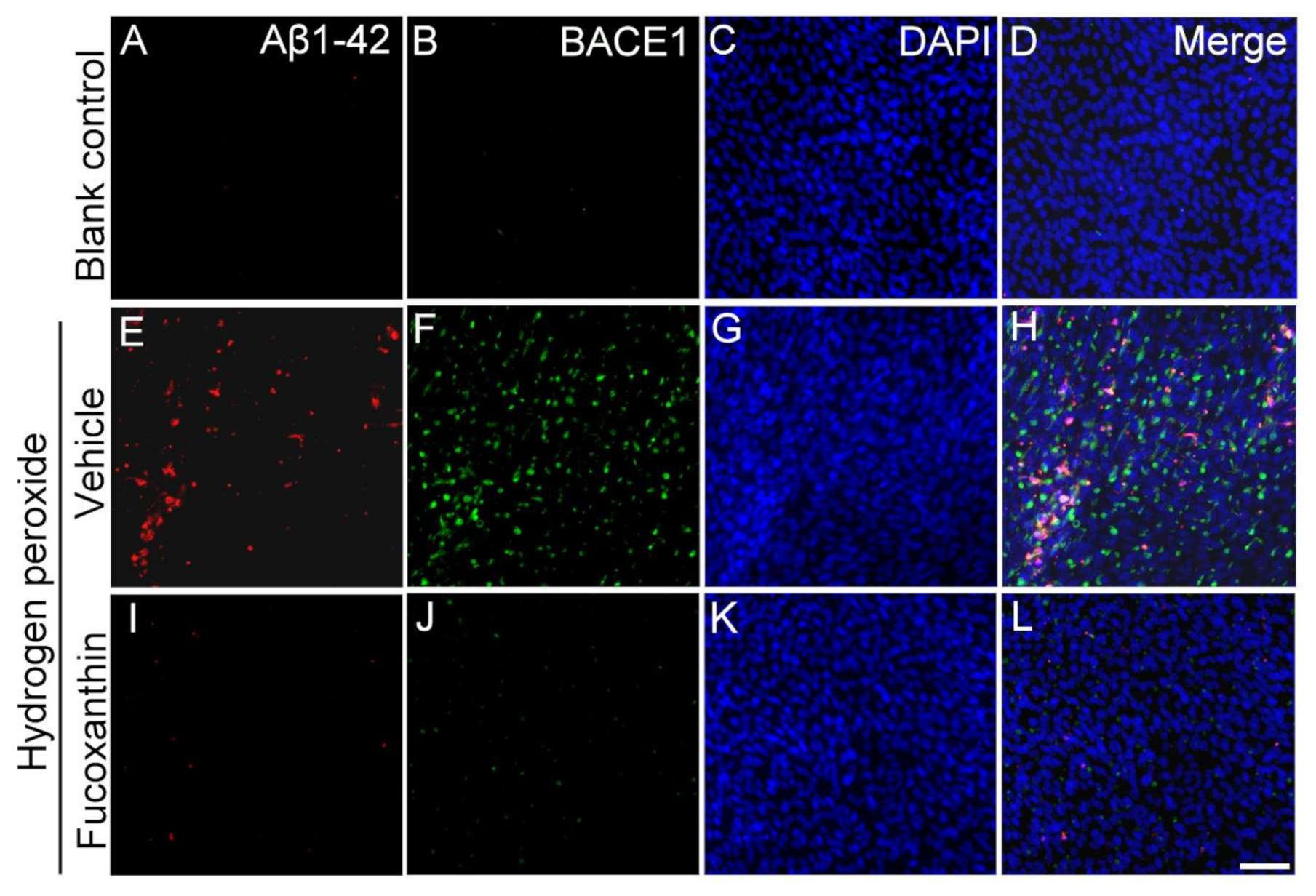 Marinedrugs 19 00114 g009