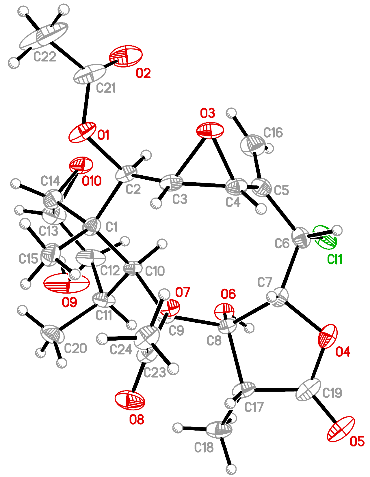 Marinedrugs 19 00136 g002 Marinedrugs 19 00136 g002