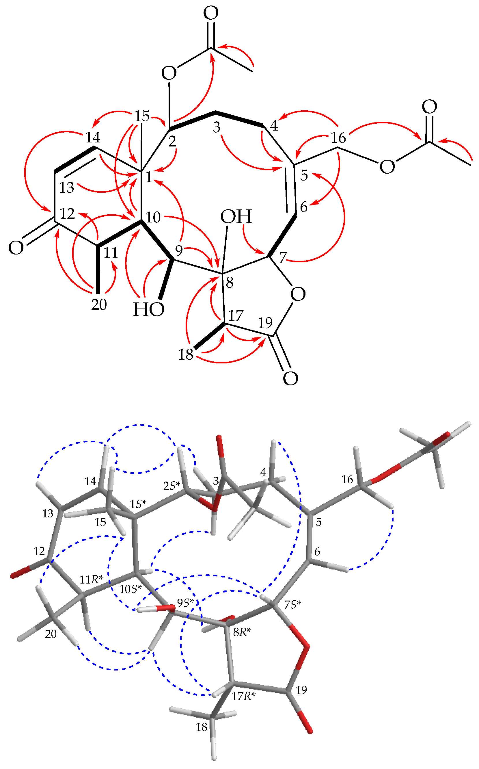 Marinedrugs 19 00136 g003 Marinedrugs 19 00136 g003