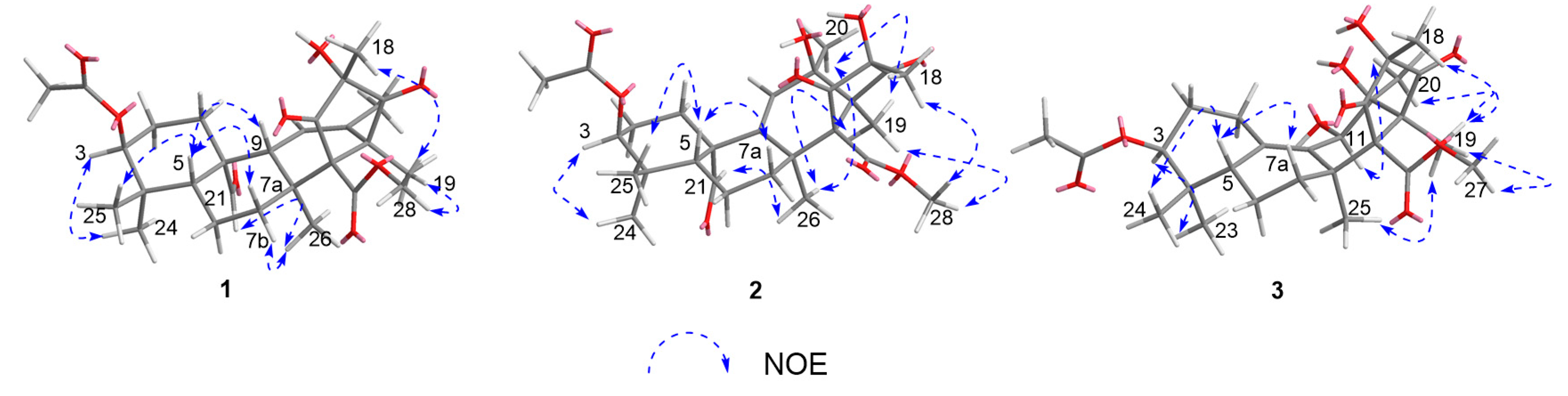 Marinedrugs 19 00189 g003 Marinedrugs 19 00189 g003