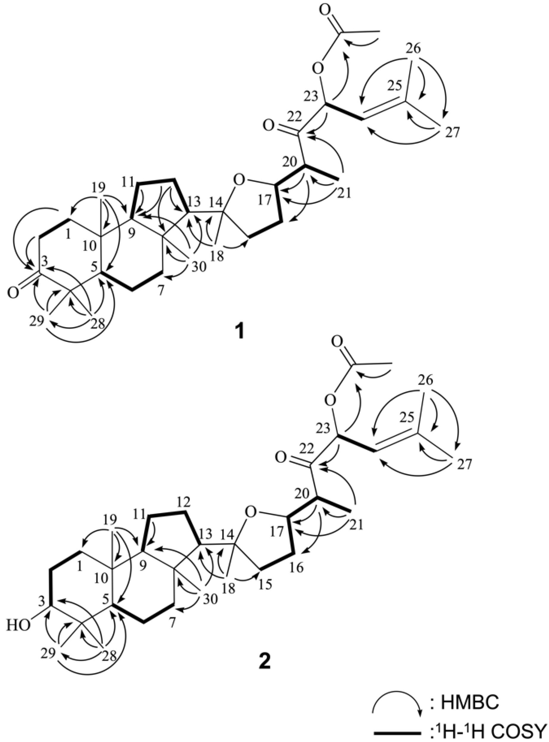 Marinedrugs 19 00206 g002 Marinedrugs 19 00206 g002
