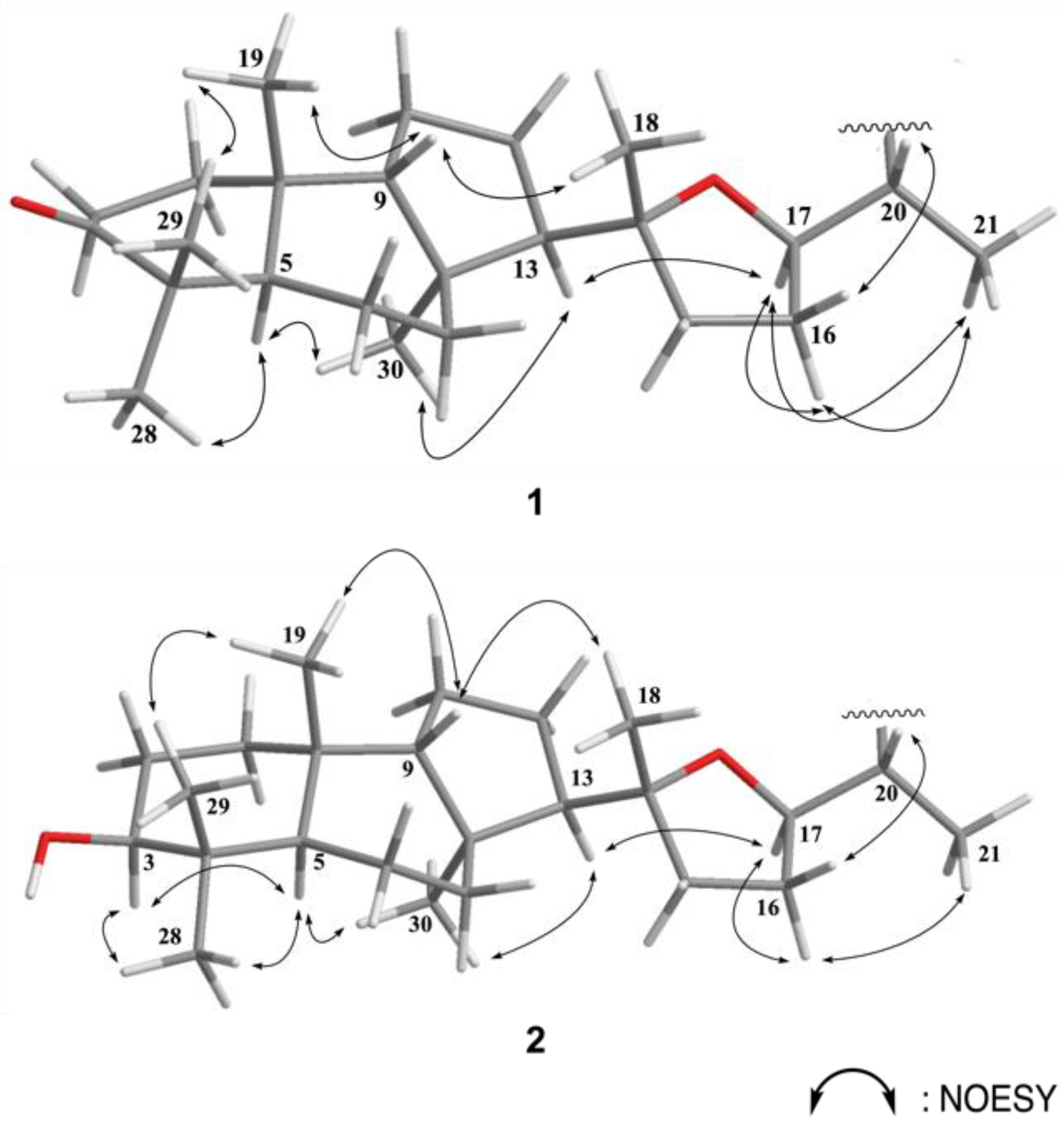 Marinedrugs 19 00206 g003 Marinedrugs 19 00206 g003
