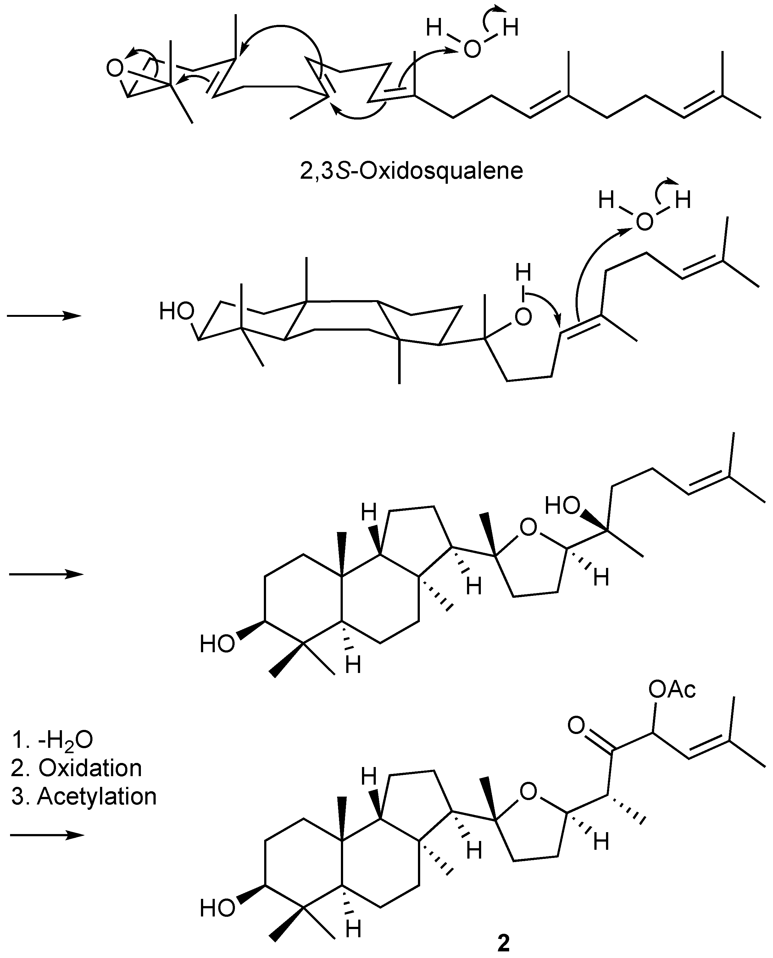 Marinedrugs 19 00206 g004 Marinedrugs 19 00206 g004
