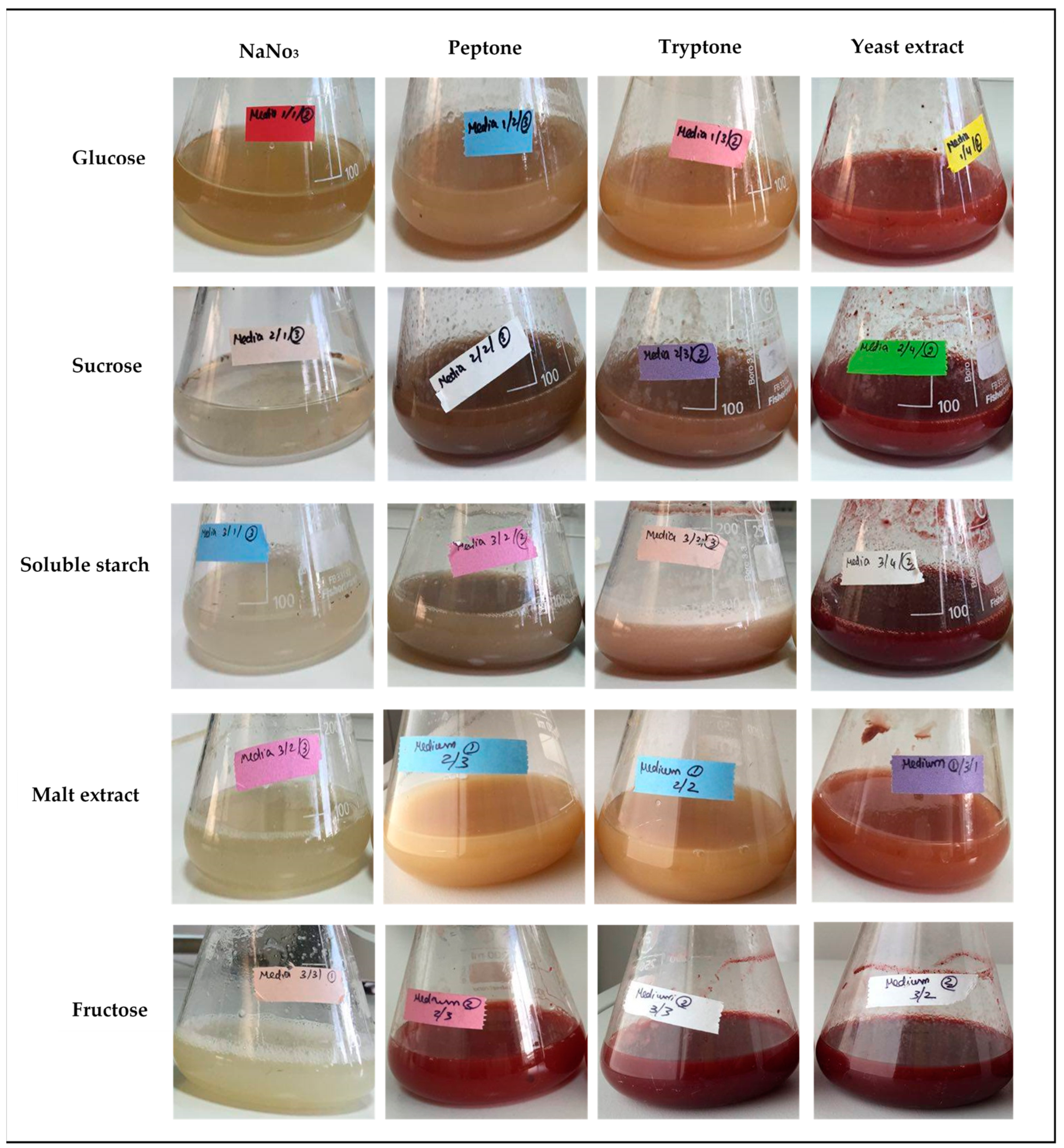 Marinedrugs 19 00248 g001 Marinedrugs 19 00248 g001