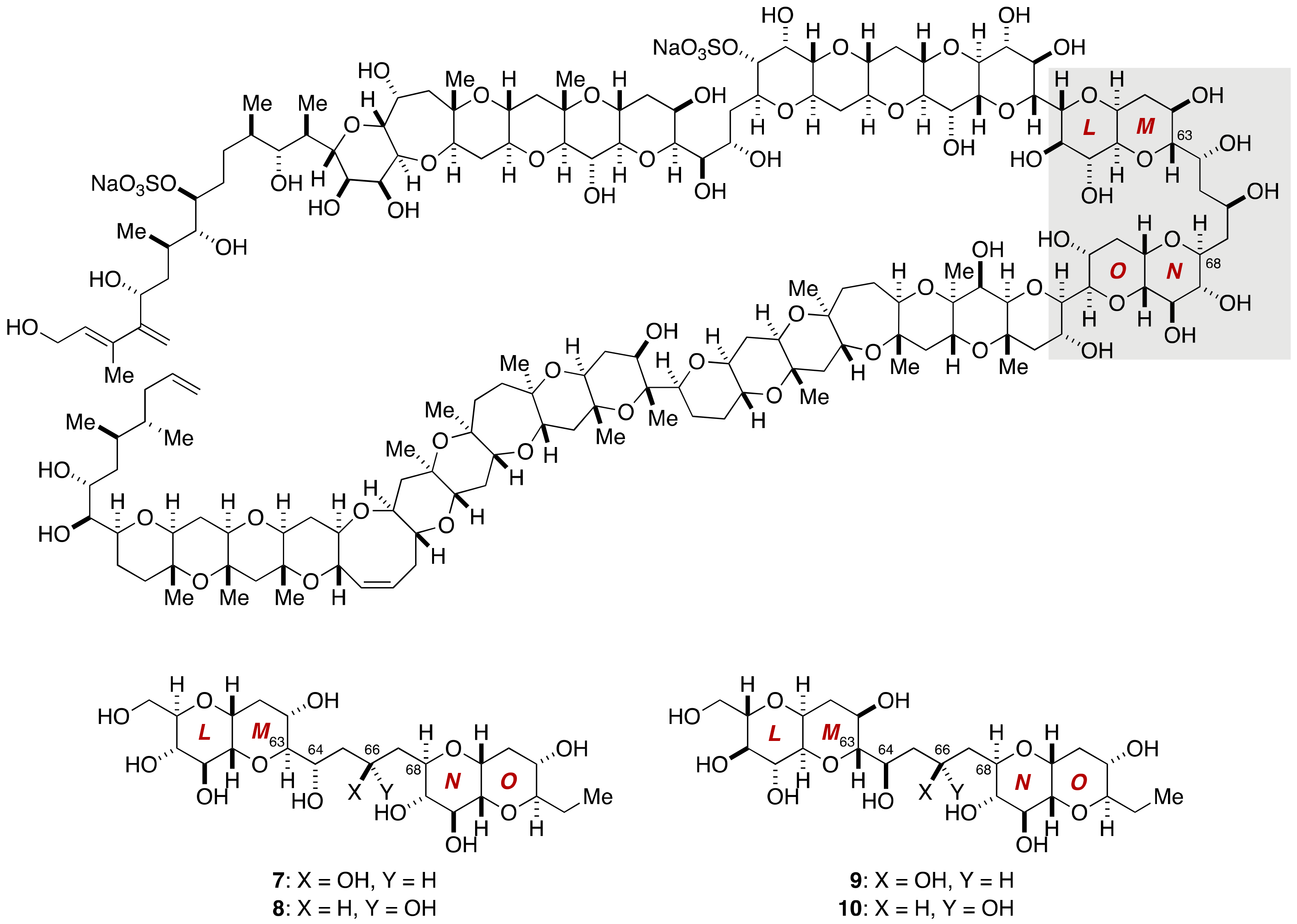 Marinedrugs 19 00257 g002