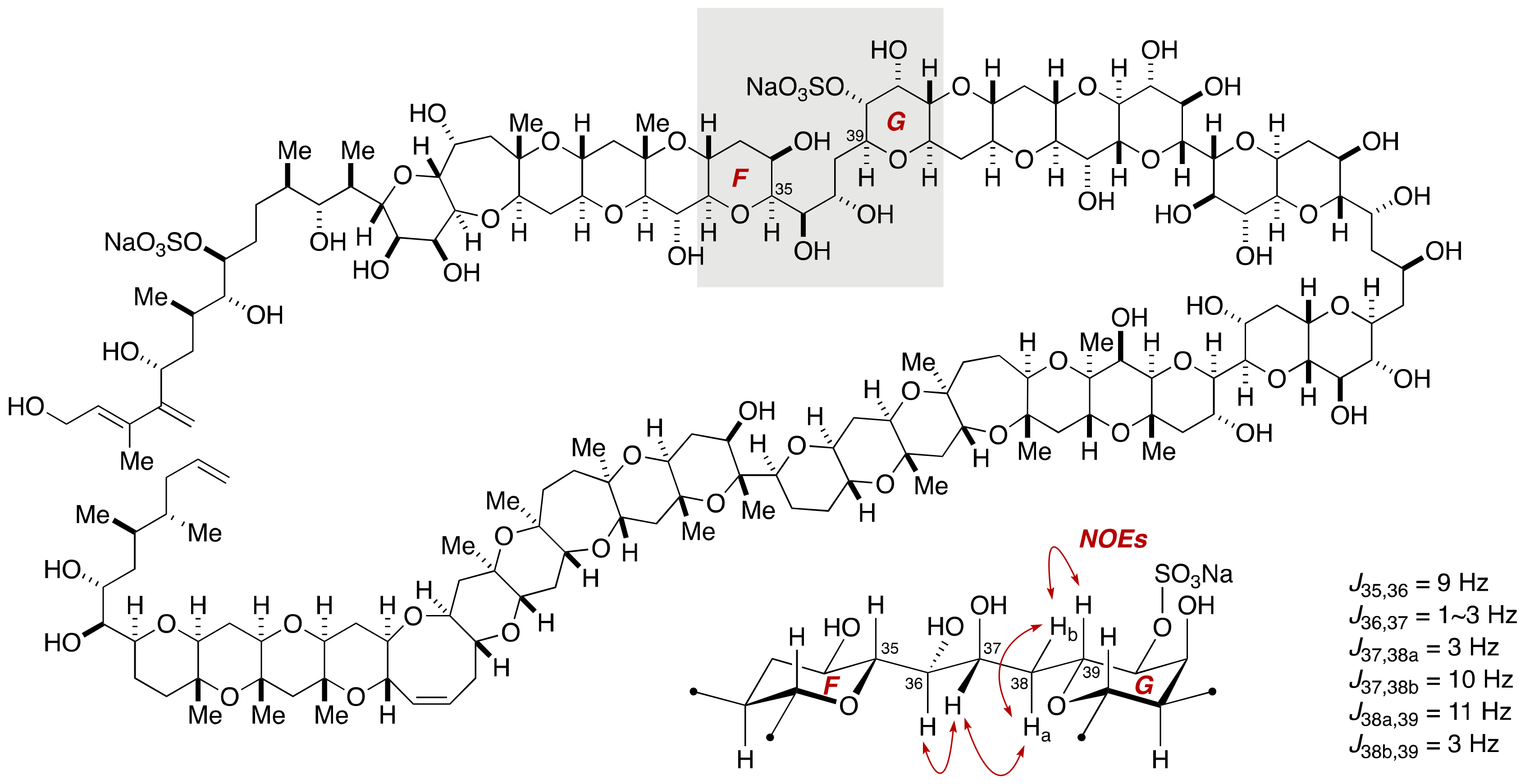 Marinedrugs 19 00257 g004