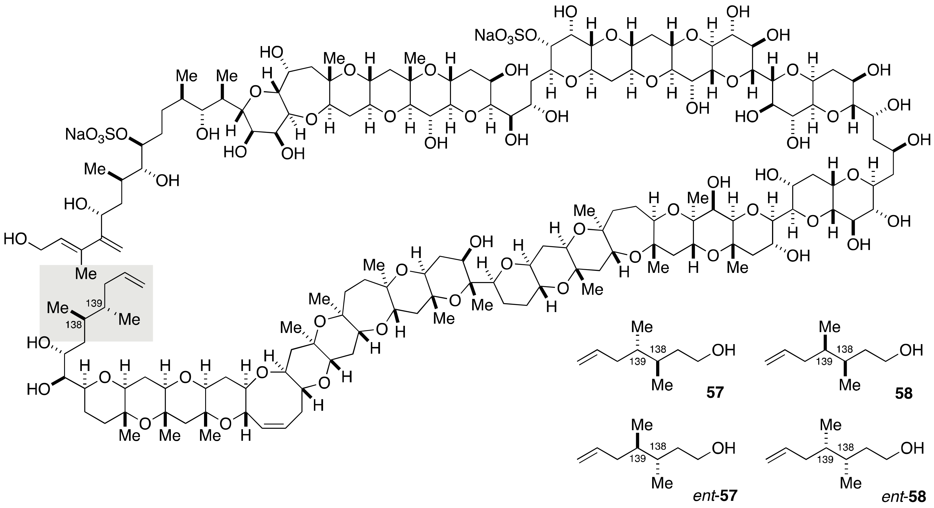 Marinedrugs 19 00257 g012