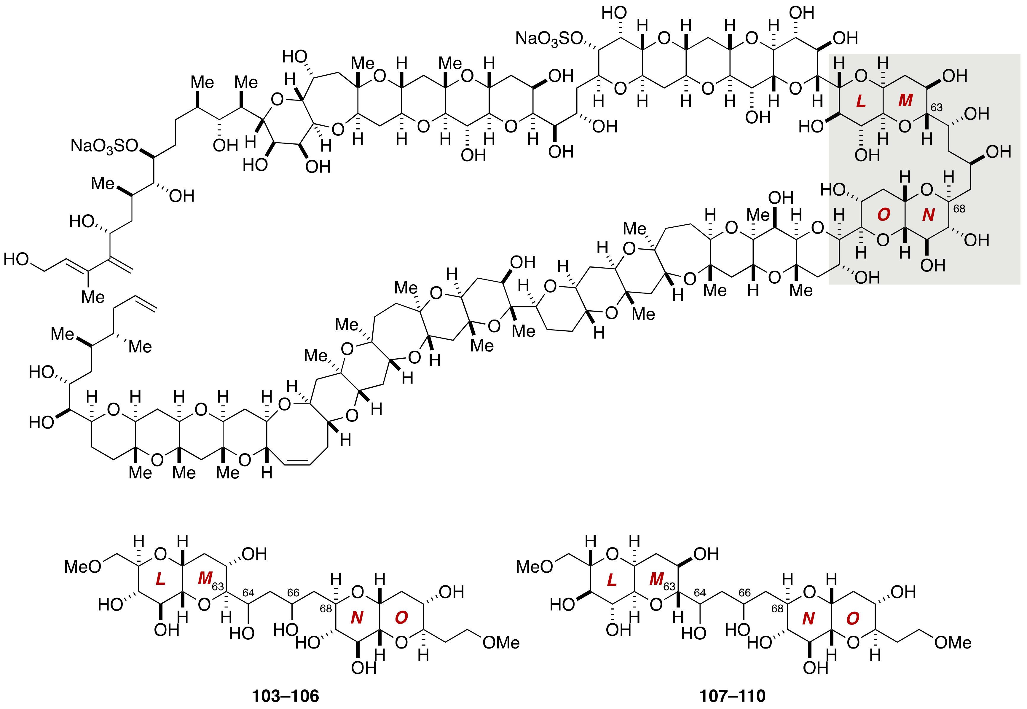 Marinedrugs 19 00257 g020