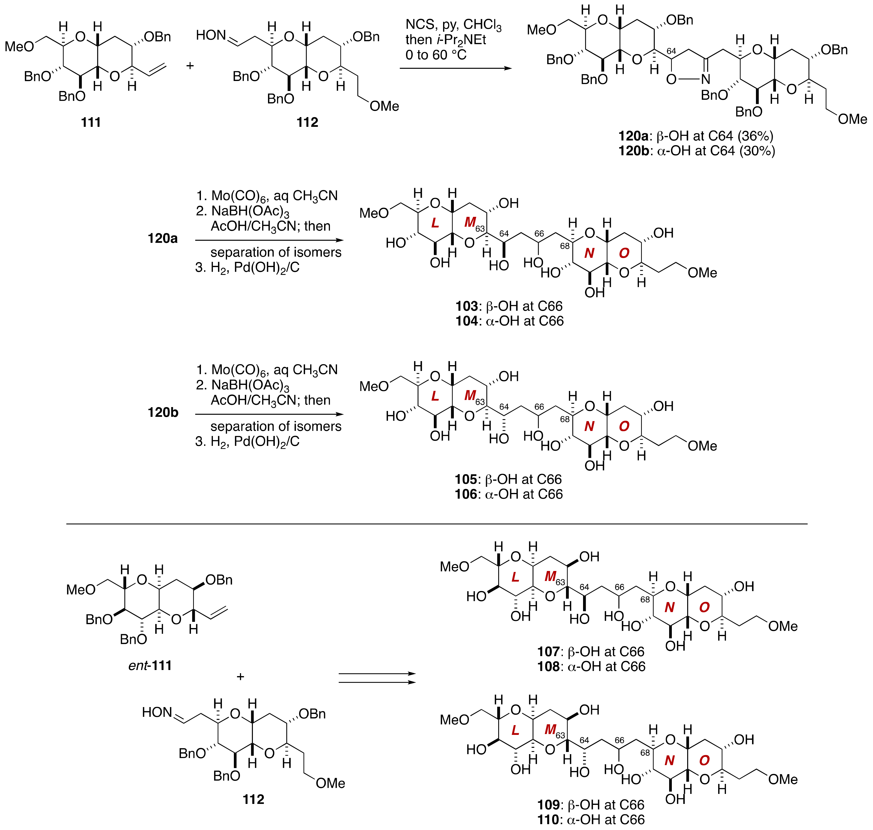 Marinedrugs 19 00257 g023