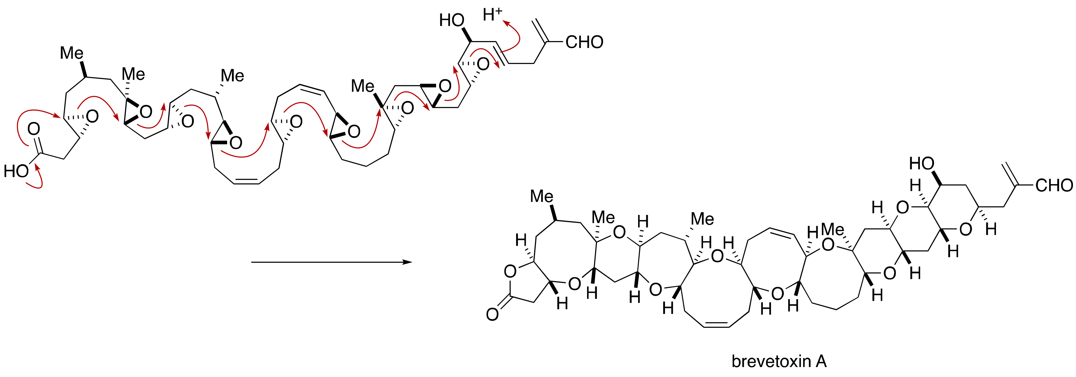 Marinedrugs 19 00257 g030
