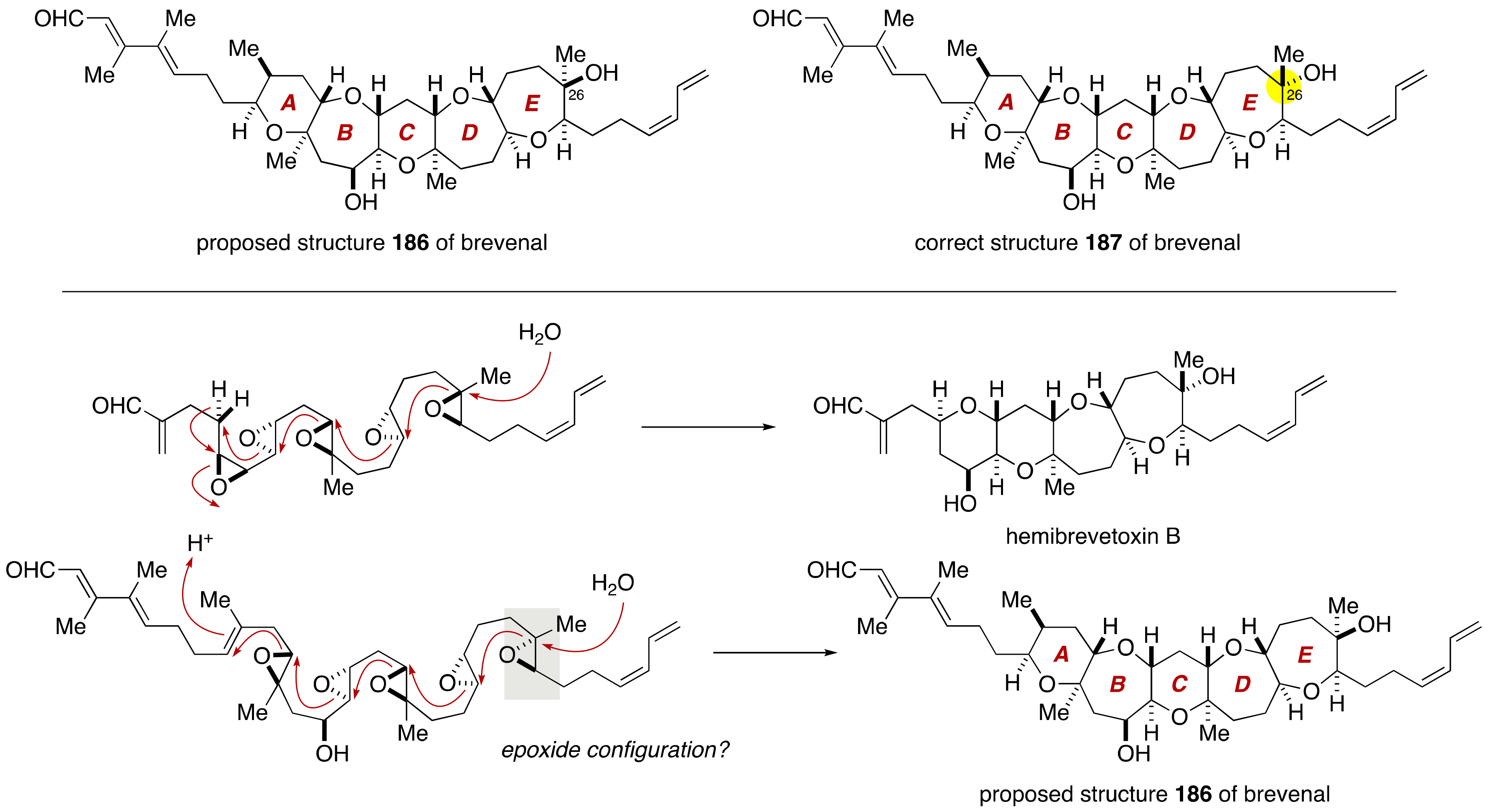 Marinedrugs 19 00257 g035