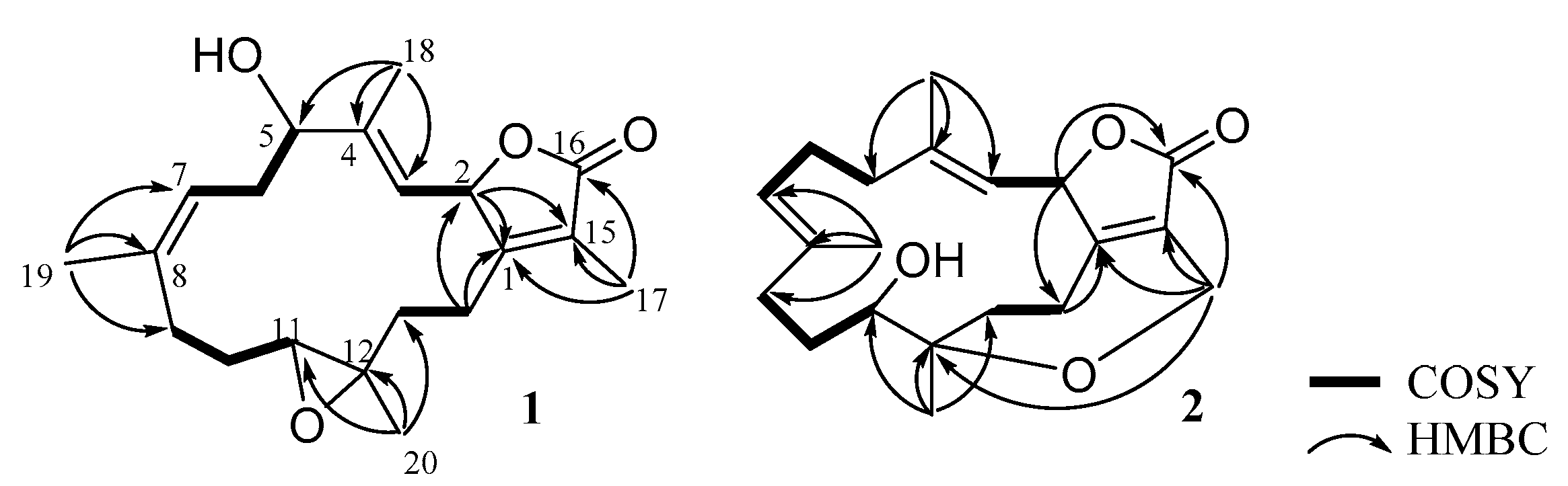 Marinedrugs 19 00260 g002
