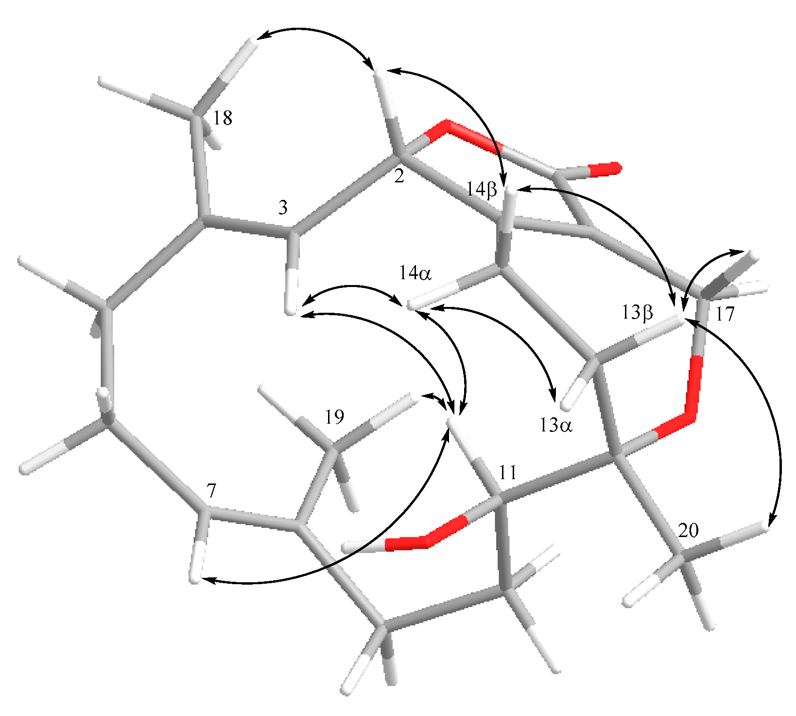 Marinedrugs 19 00260 g005