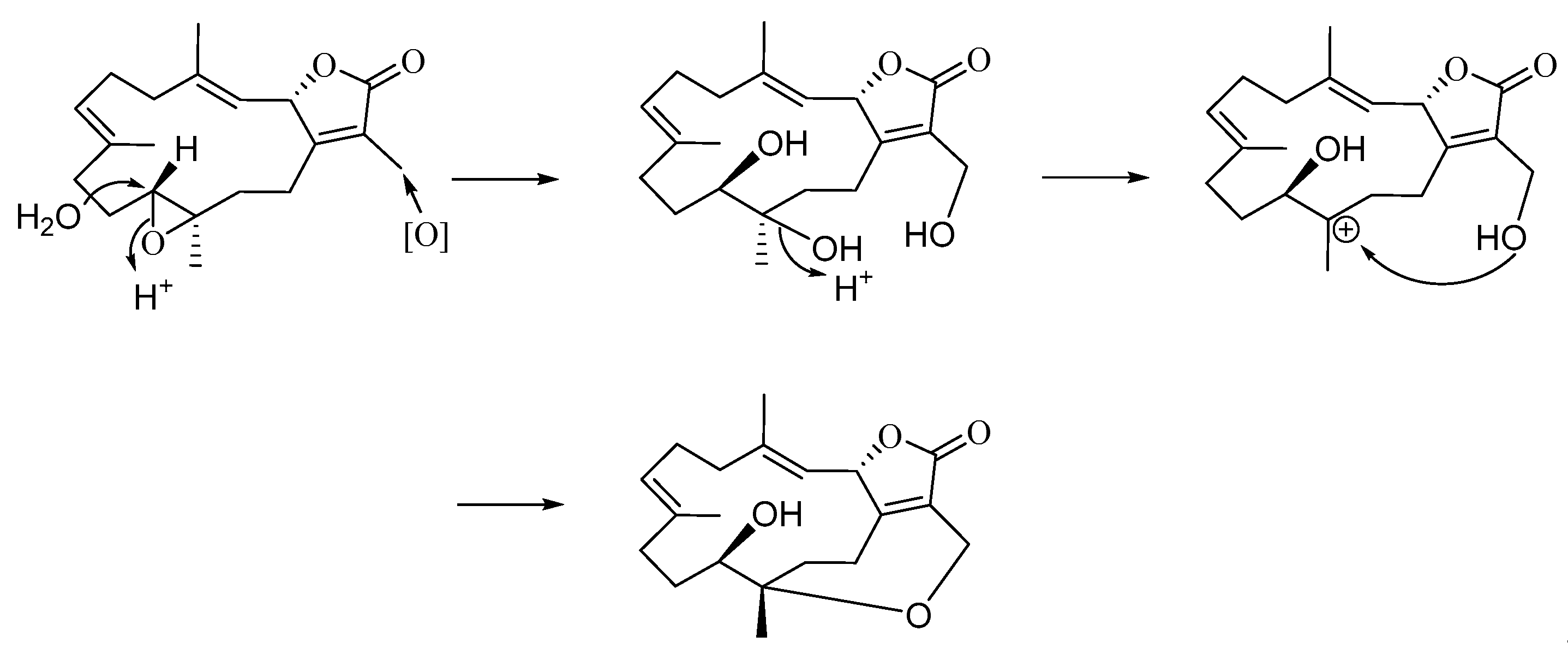 Marinedrugs 19 00260 sch001