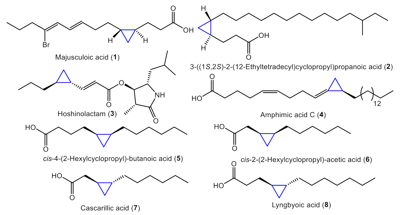 Marinedrugs 19 00288 g001