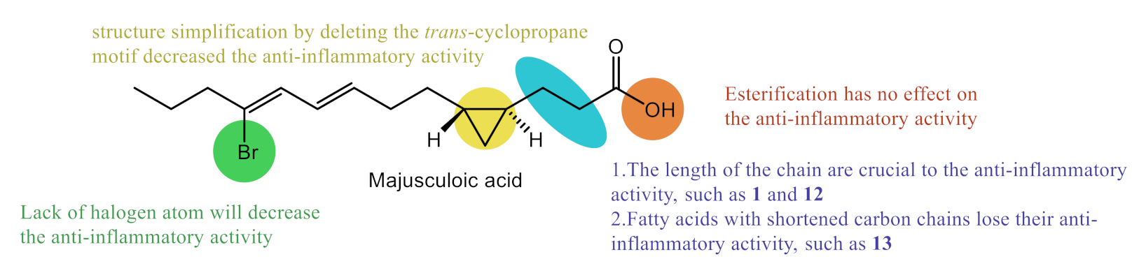 Marinedrugs 19 00288 g003