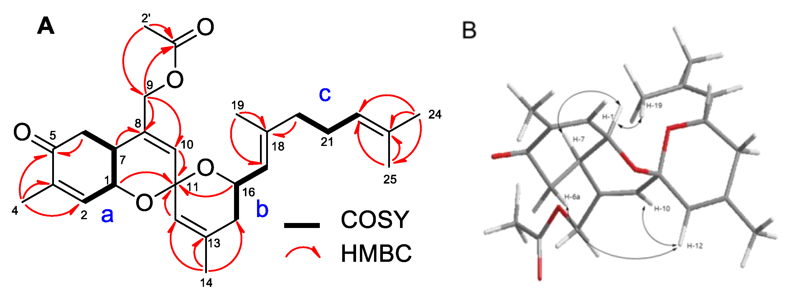 Marinedrugs 19 00301 g002 Marinedrugs 19 00301 g002