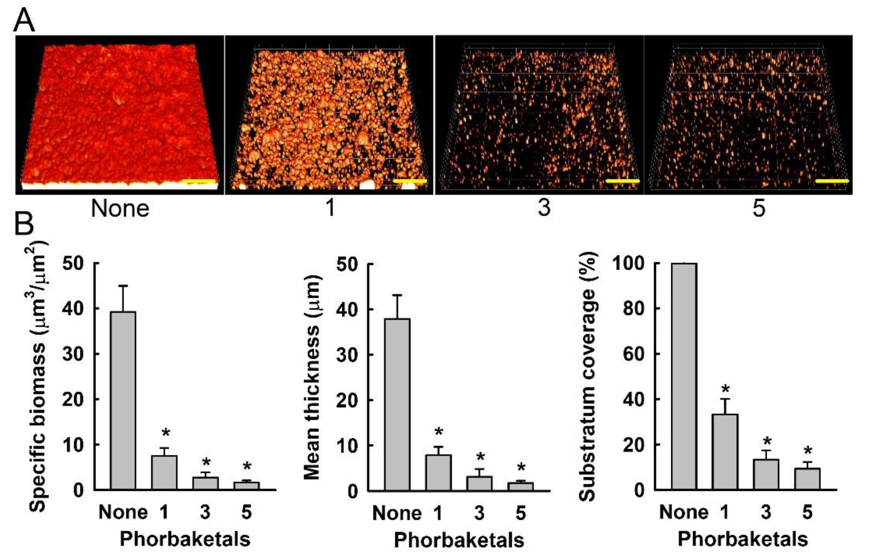 Marinedrugs 19 00301 g004 Marinedrugs 19 00301 g004