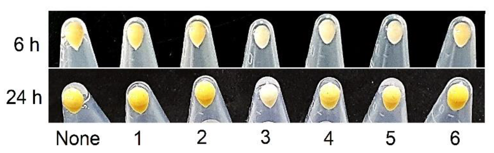 Marinedrugs 19 00301 g005 Marinedrugs 19 00301 g005