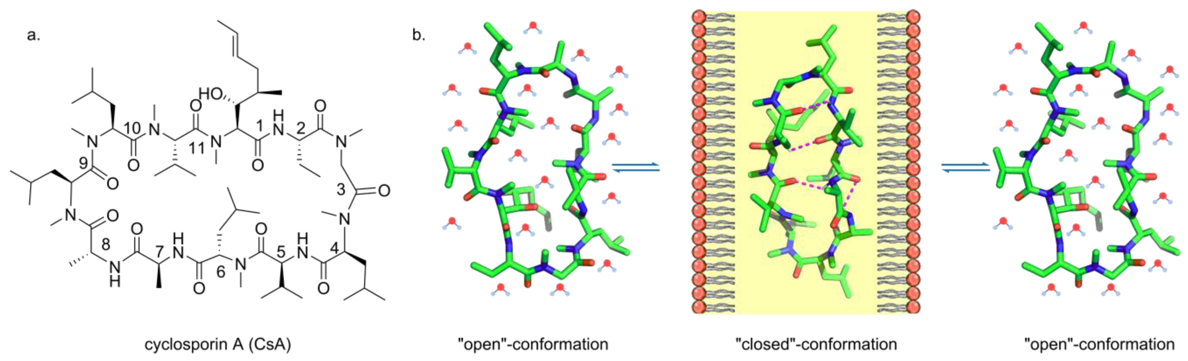 Marinedrugs 19 00311 g001