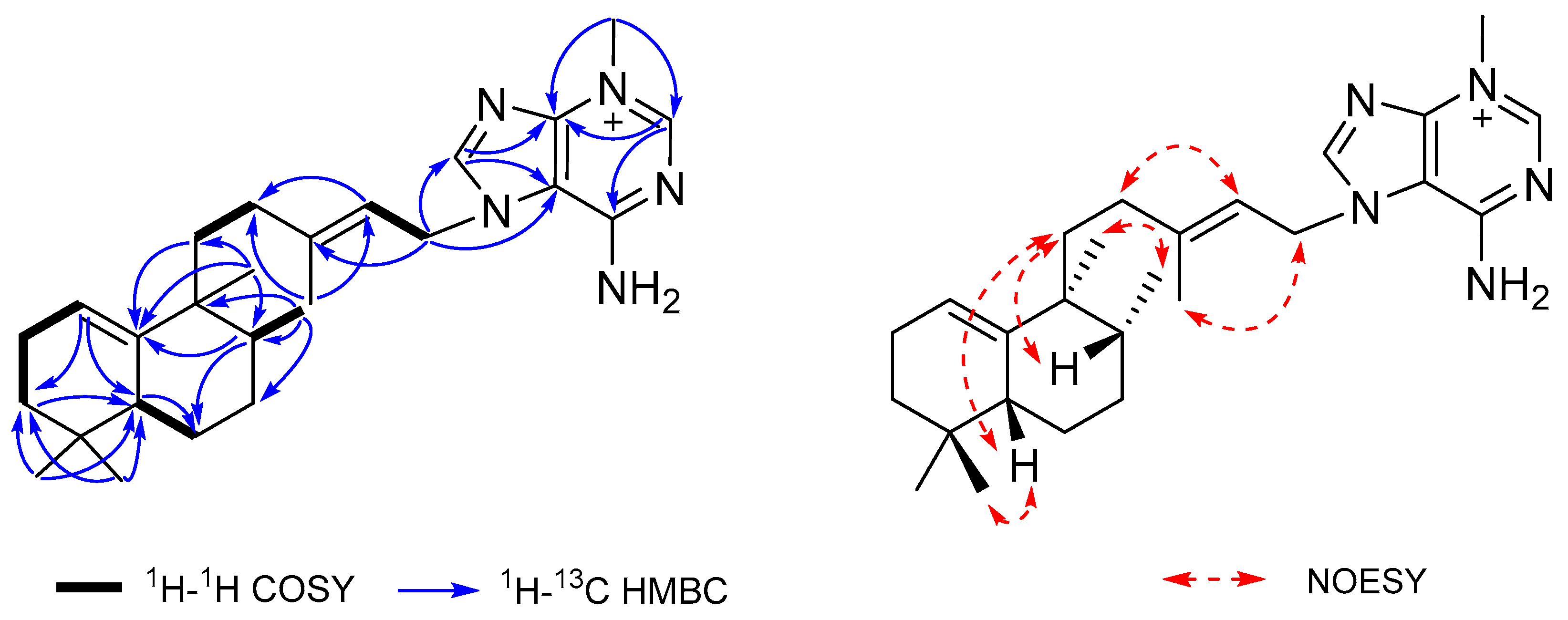 Marinedrugs 19 00361 g002 Marinedrugs 19 00361 g002