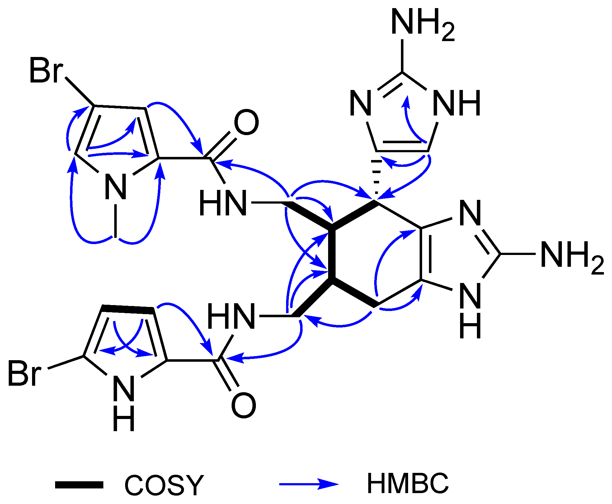 Marinedrugs 19 00361 g004 Marinedrugs 19 00361 g004