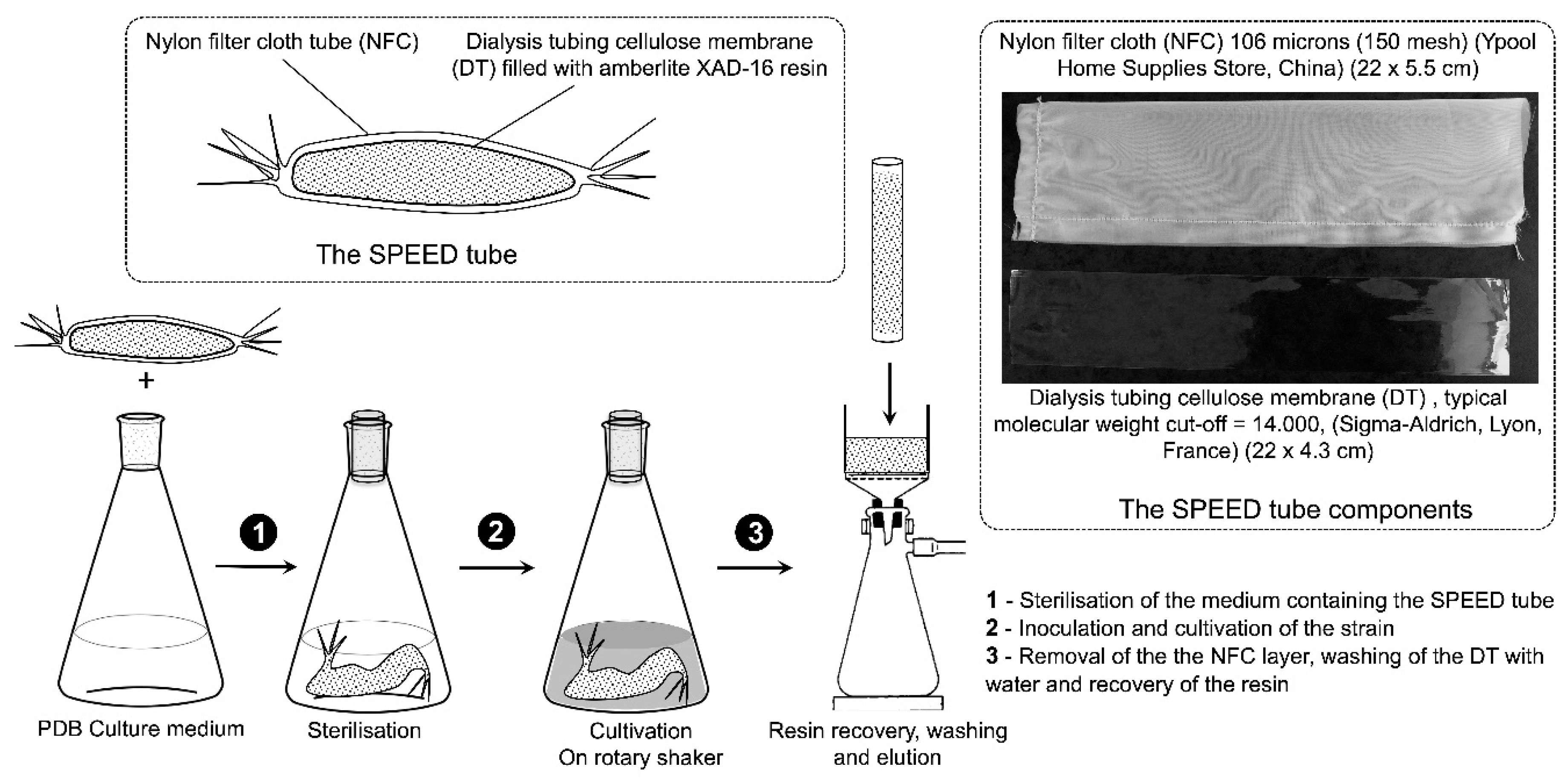 Marinedrugs 19 00371 g001 Marinedrugs 19 00371 g001