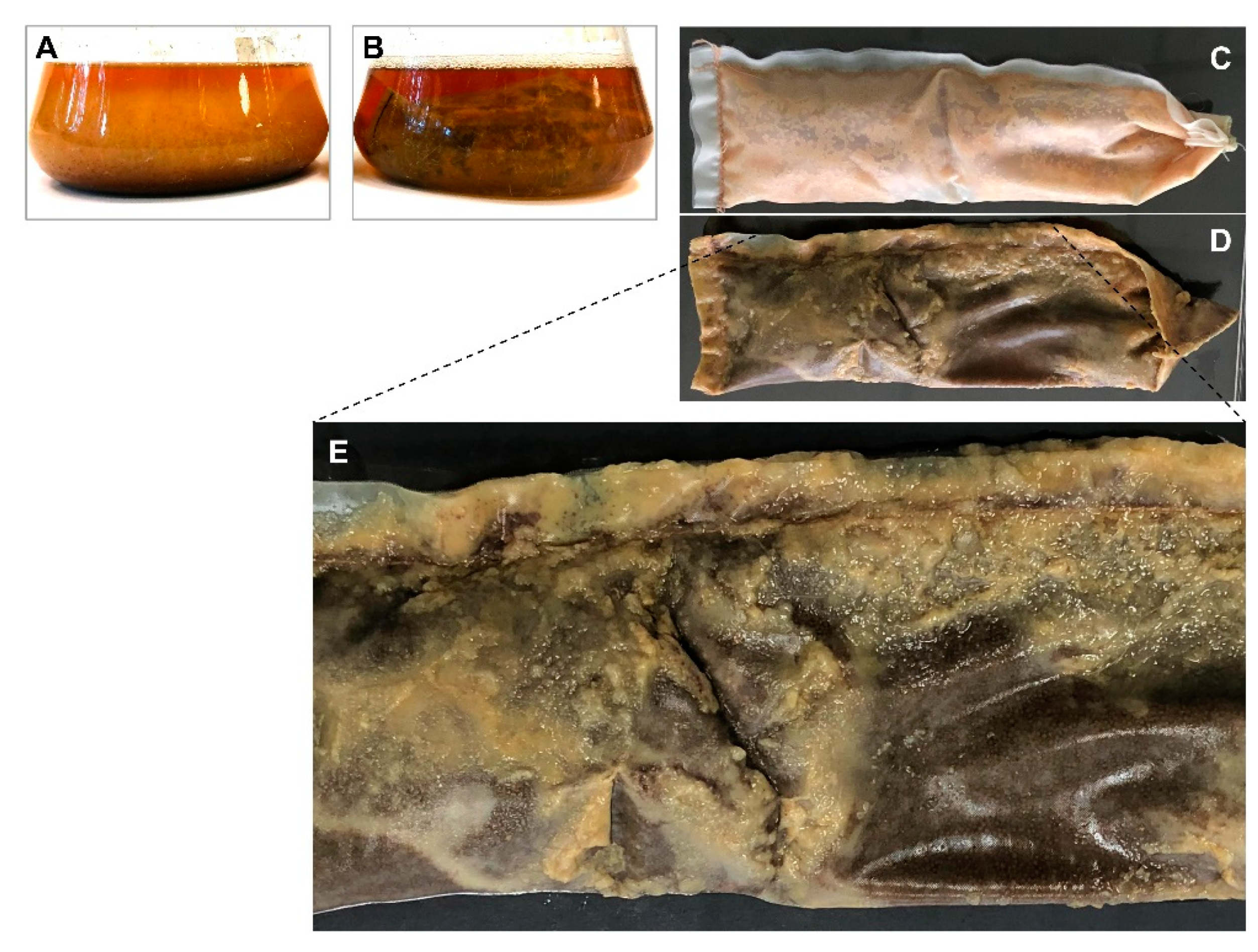 Marinedrugs 19 00371 g004 Marinedrugs 19 00371 g004