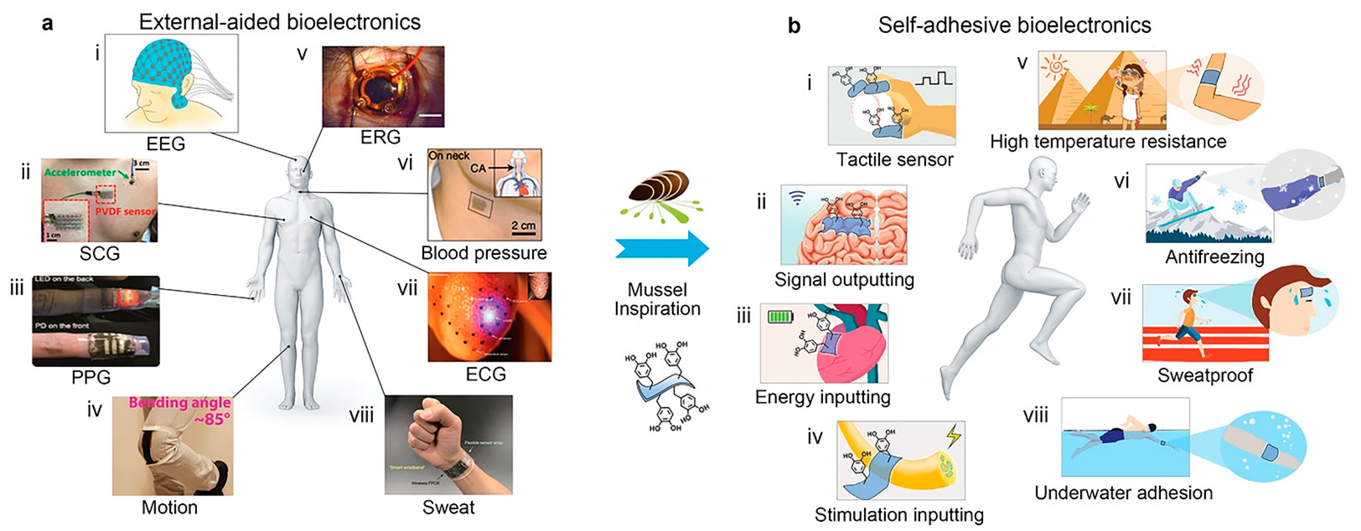 Marinedrugs 19 00372 g003