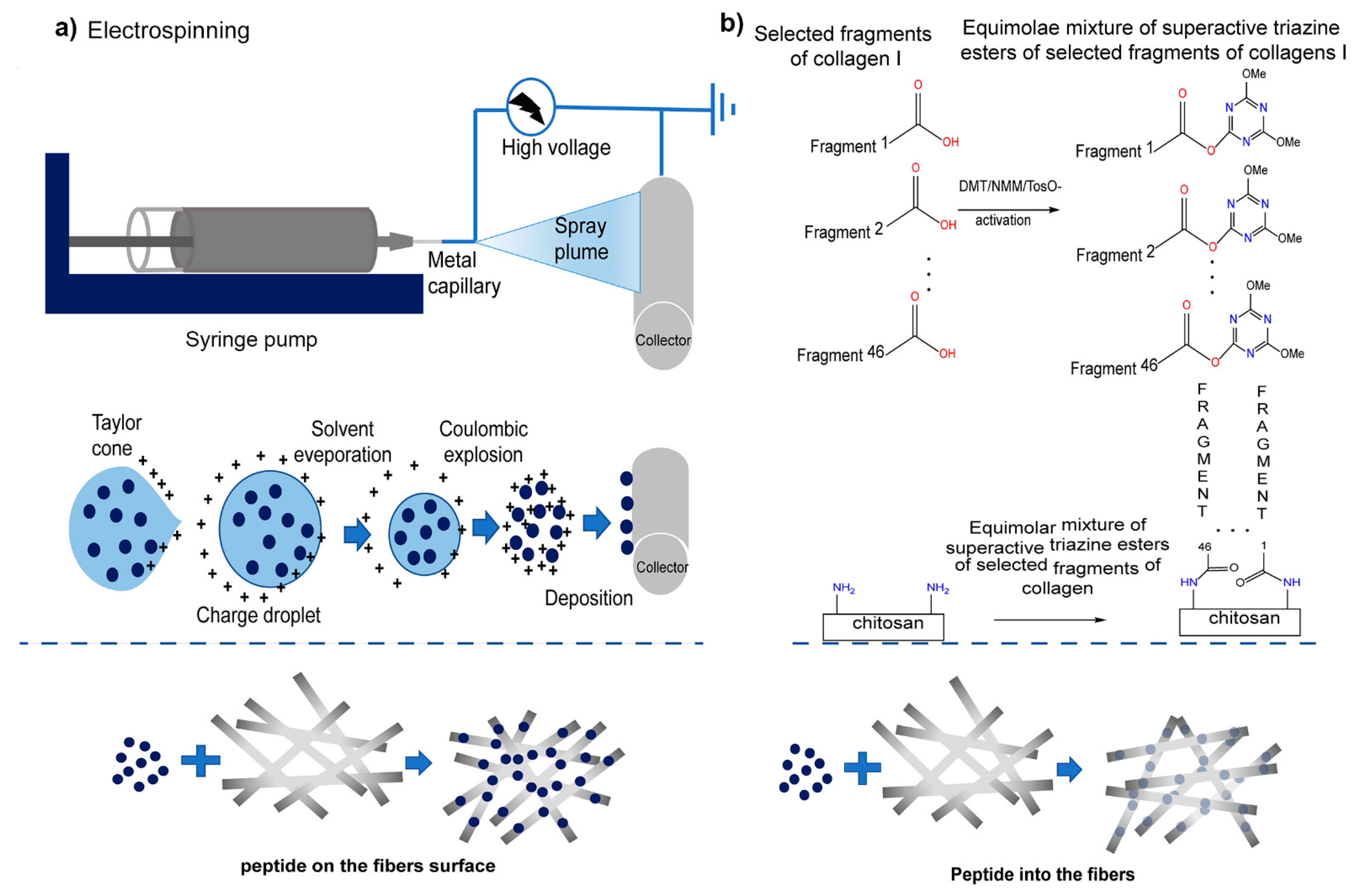 Marinedrugs 19 00372 g008