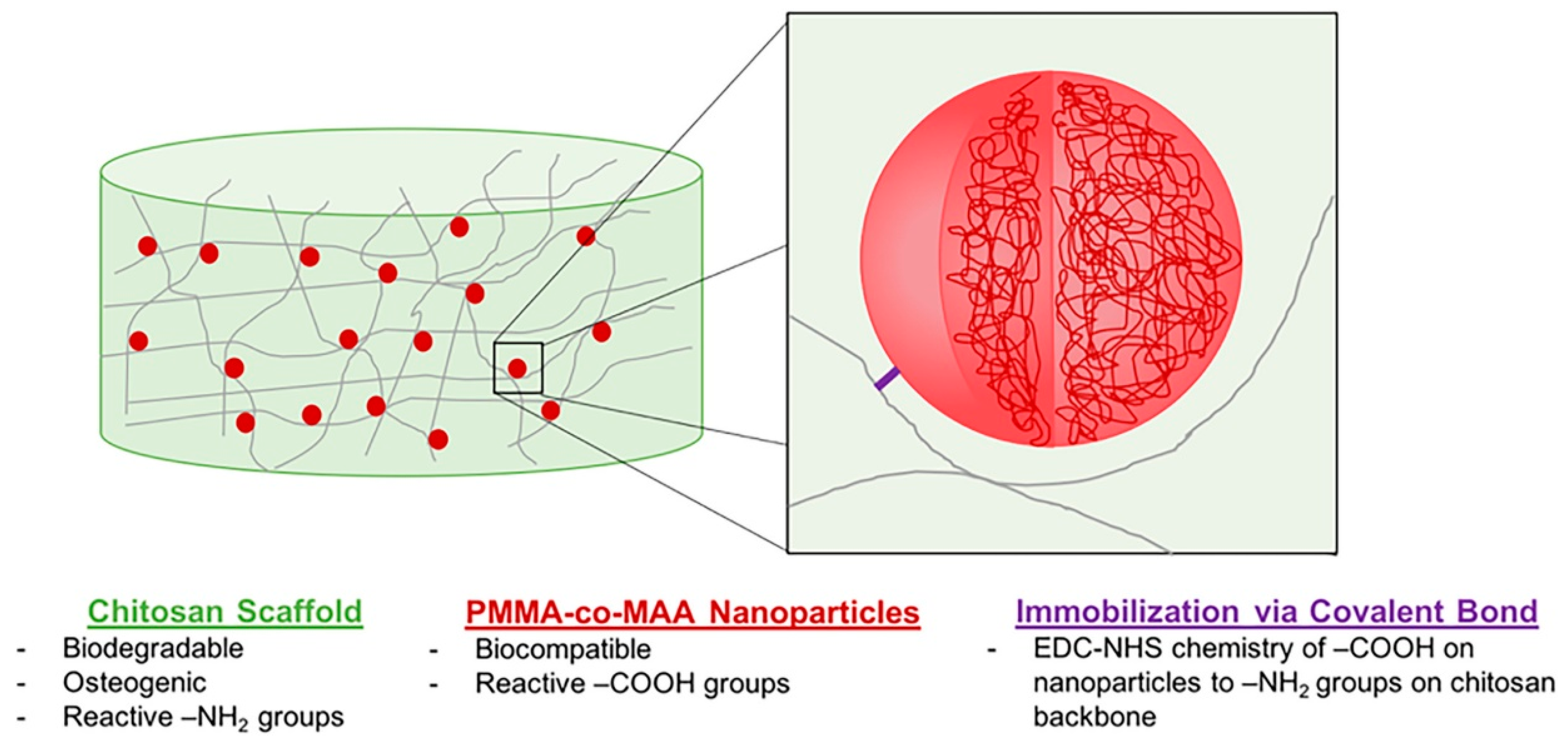 Marinedrugs 19 00372 g009