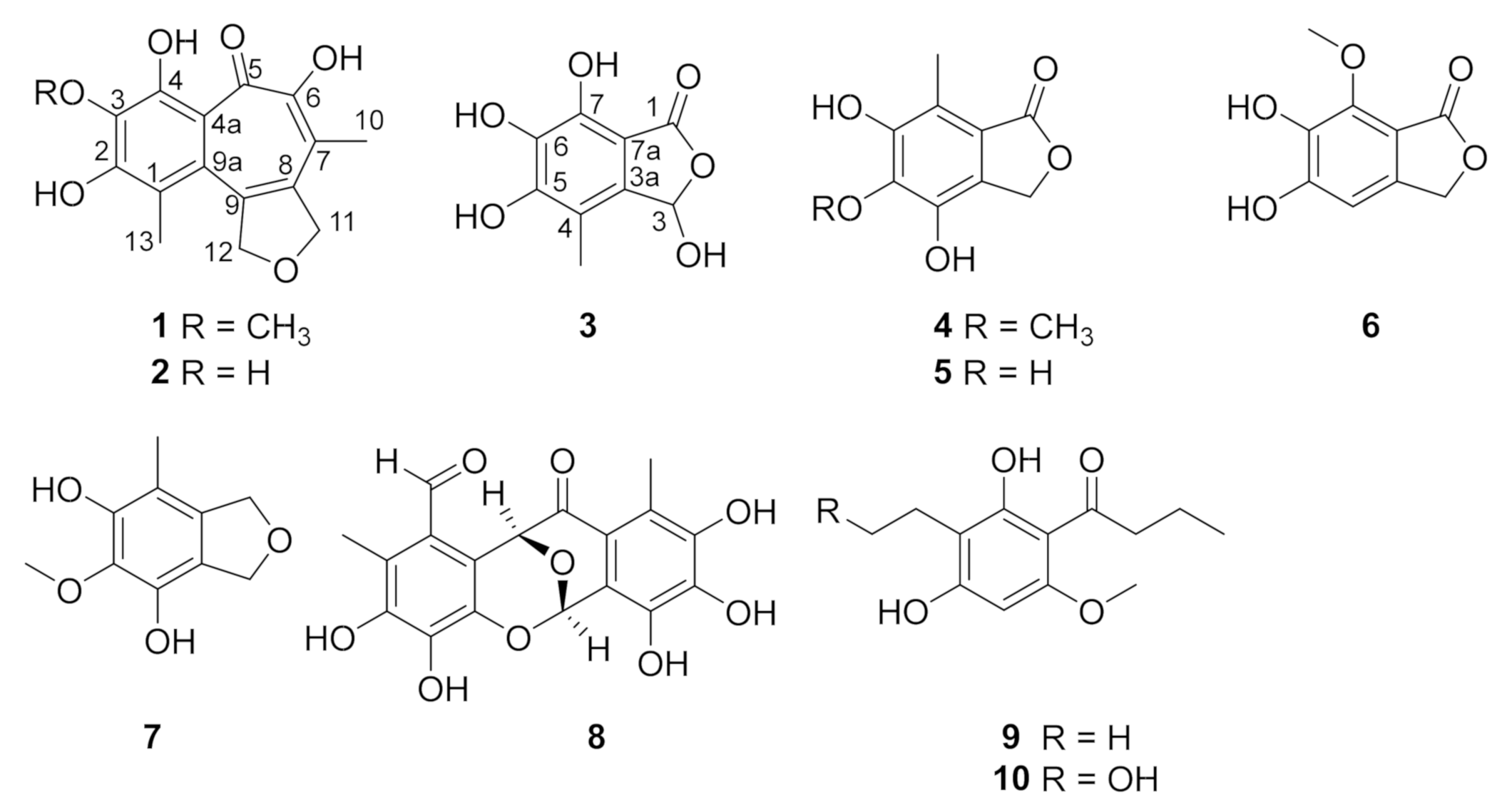 Marinedrugs 19 00395 g001 Marinedrugs 19 00395 g001