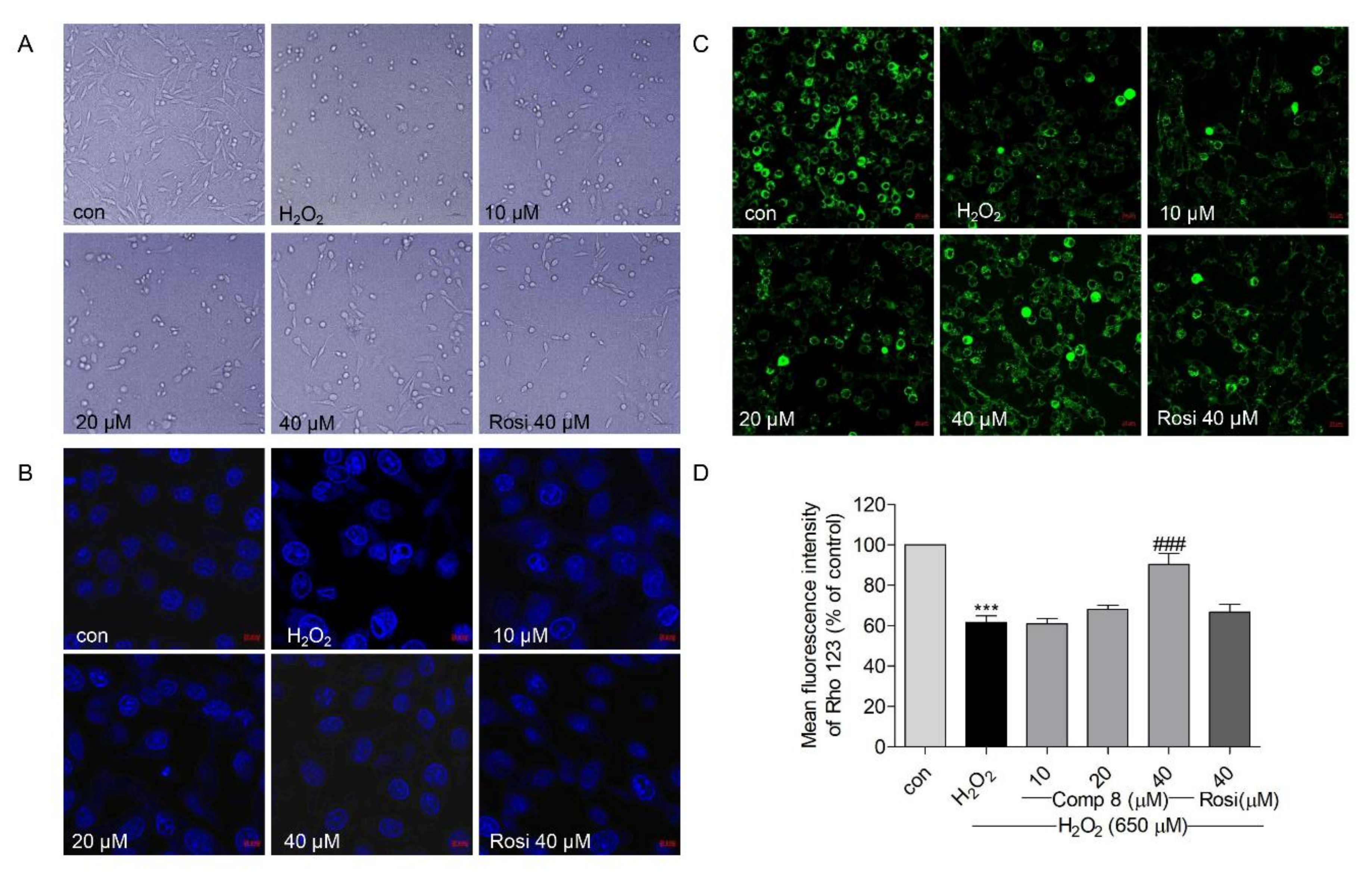 Marinedrugs 19 00417 g006