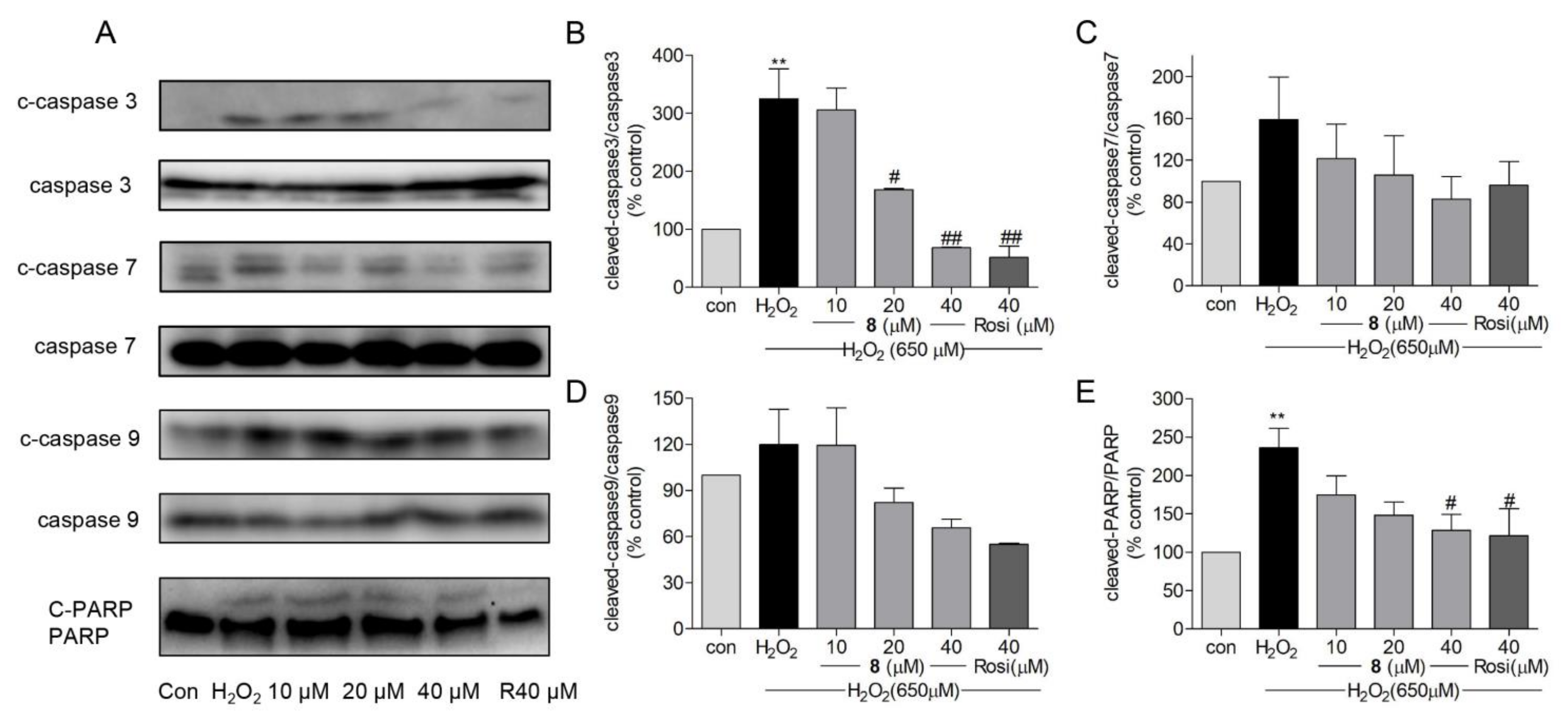 Marinedrugs 19 00417 g008