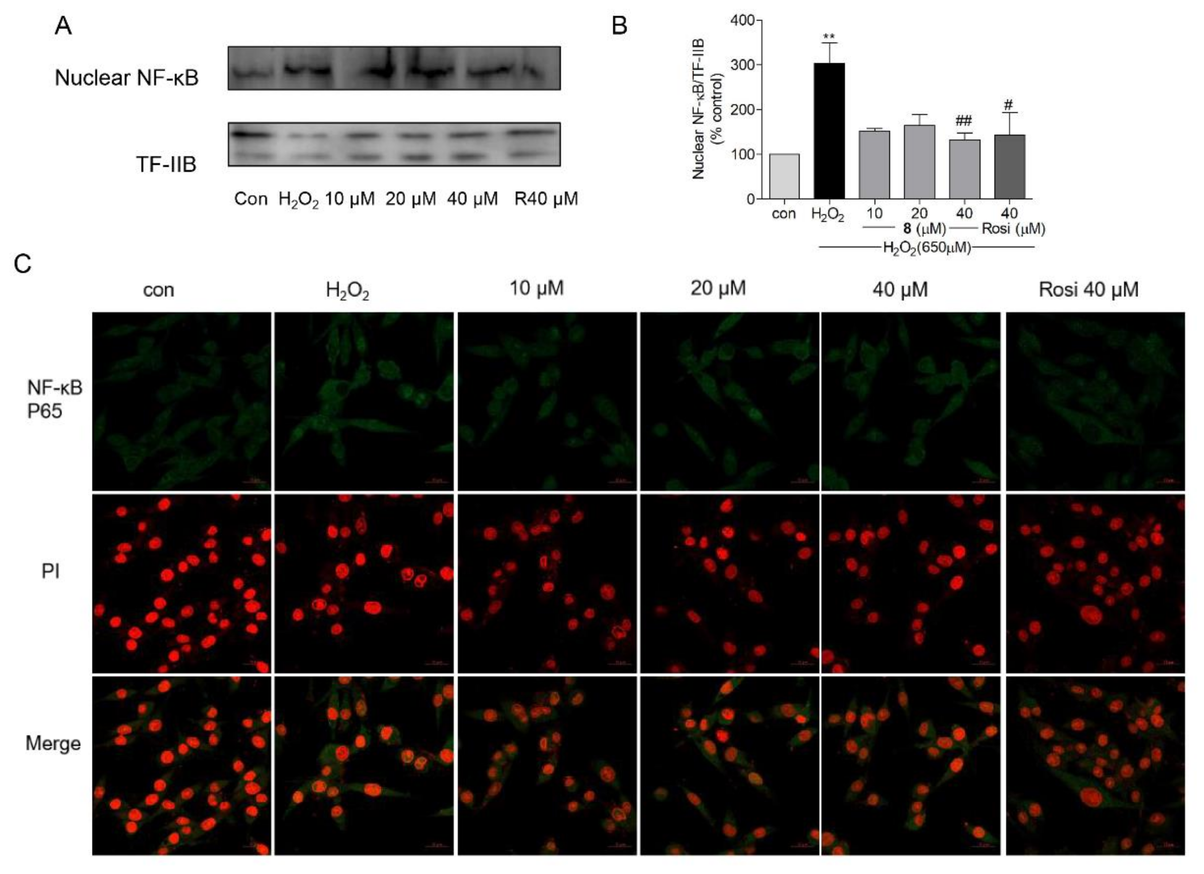 Marinedrugs 19 00417 g009