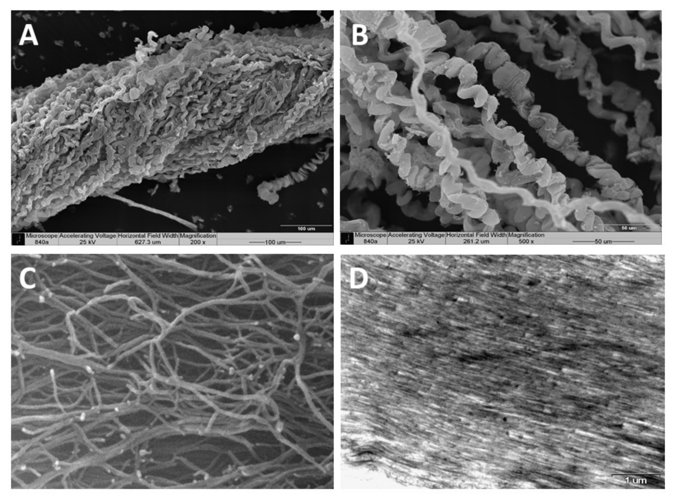 Marinedrugs 19 00419 g002 Marinedrugs 19 00419 g002