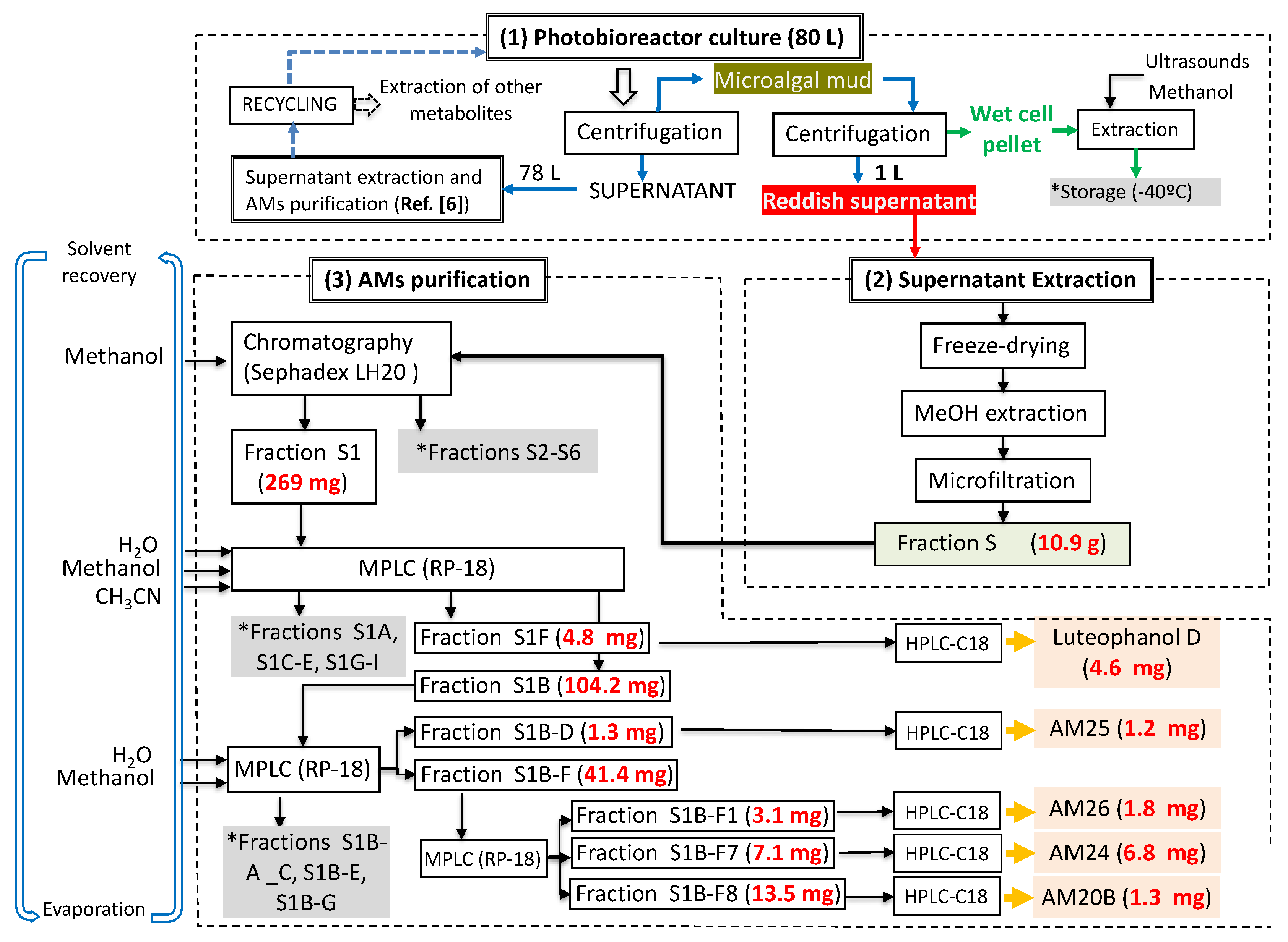 Marinedrugs 19 00432 g007