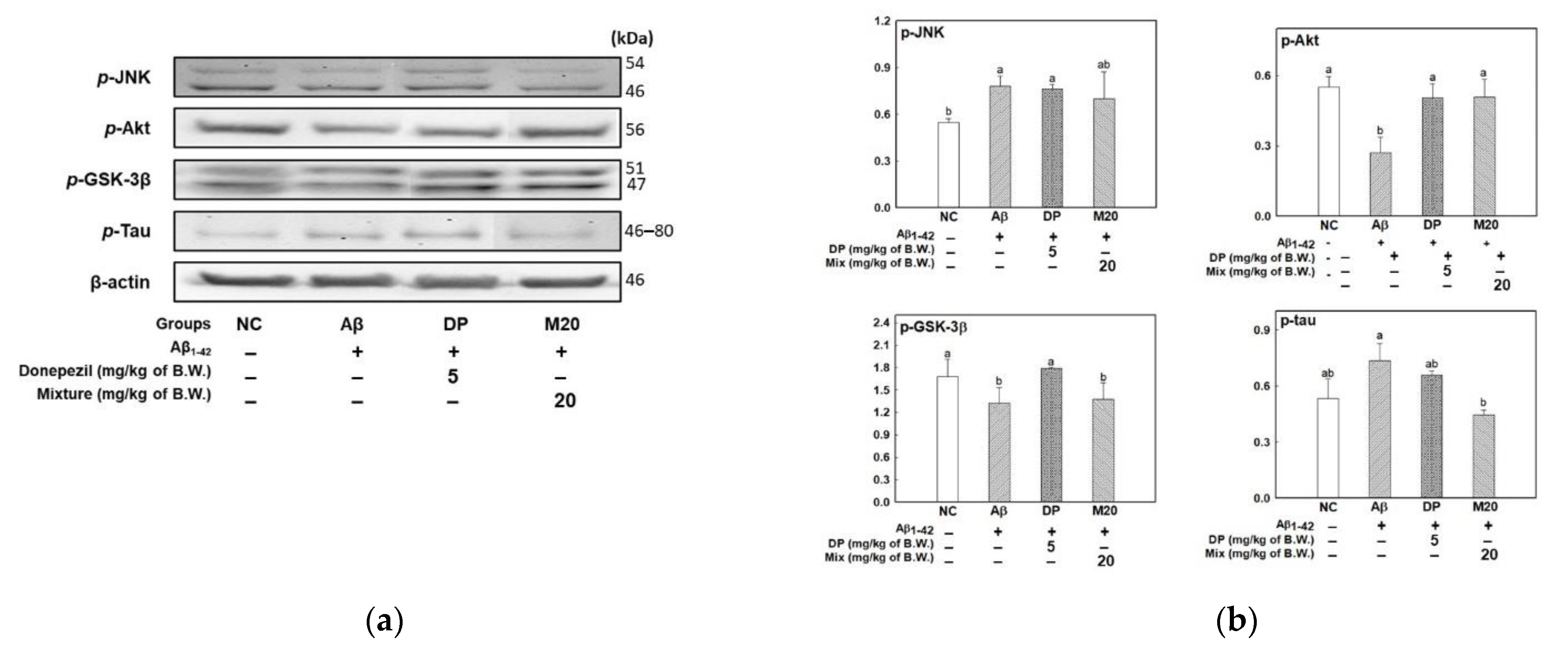 Marinedrugs 19 00434 g004 Marinedrugs 19 00434 g004