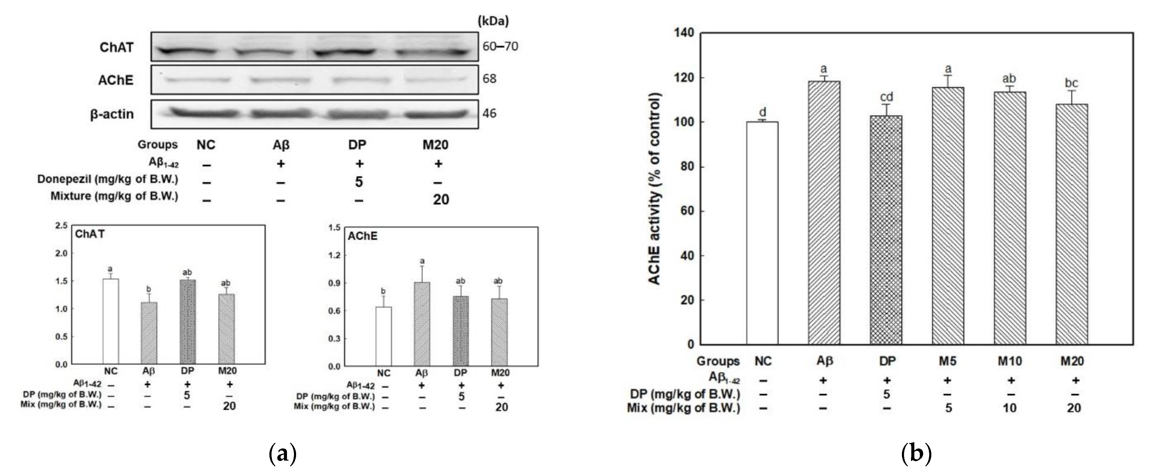 Marinedrugs 19 00434 g005a Marinedrugs 19 00434 g005a