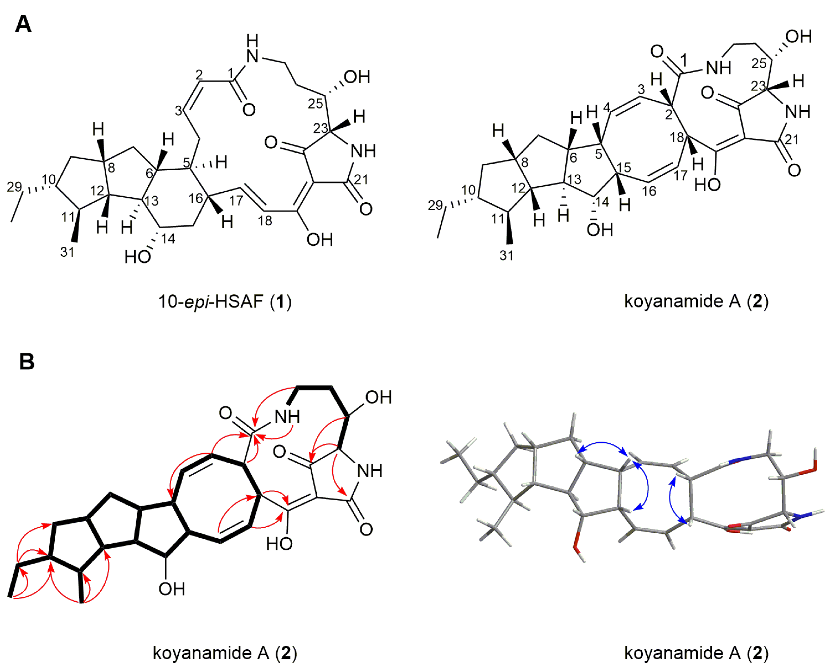 Marinedrugs 19 00440 g003