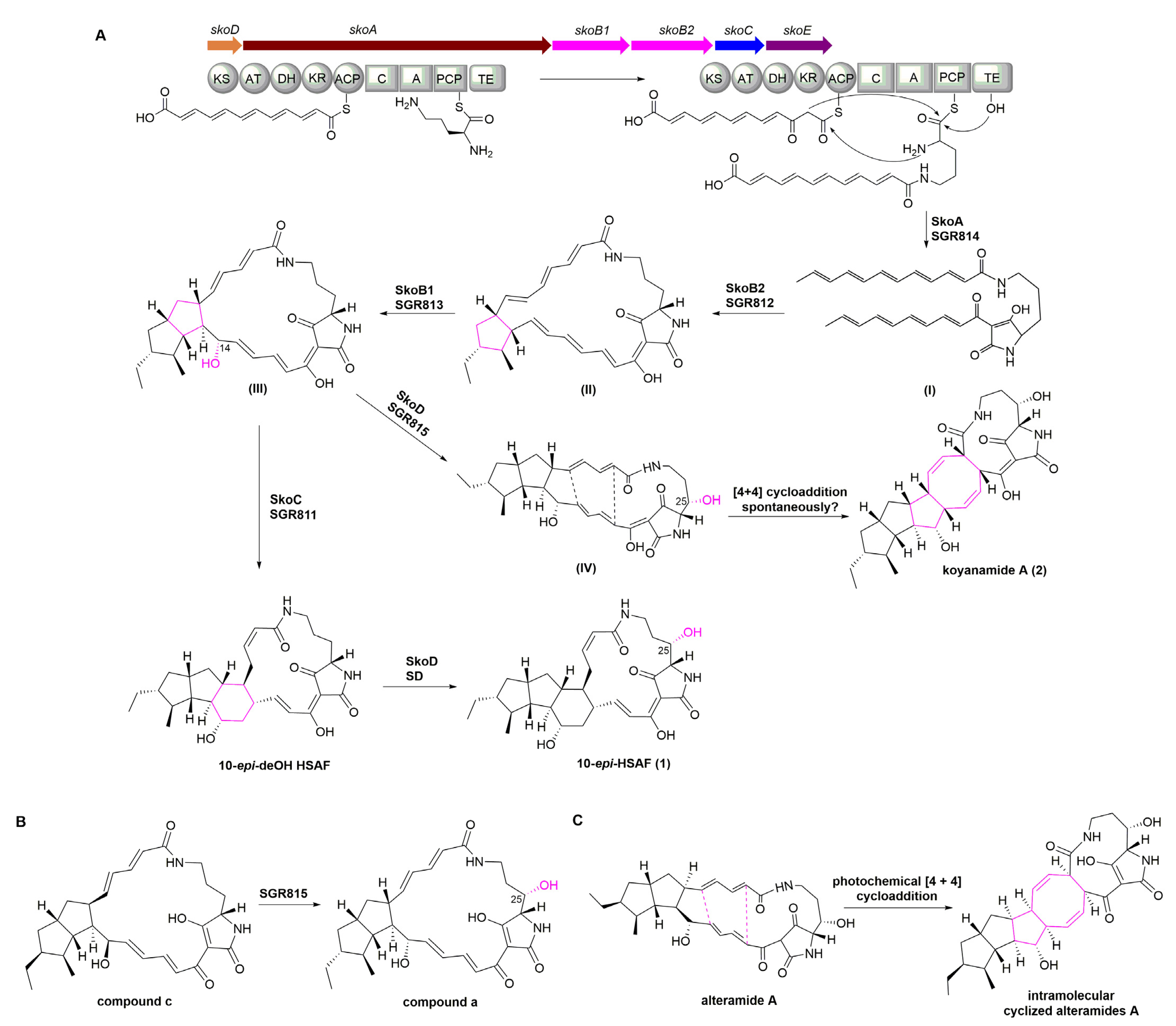 Marinedrugs 19 00440 g004
