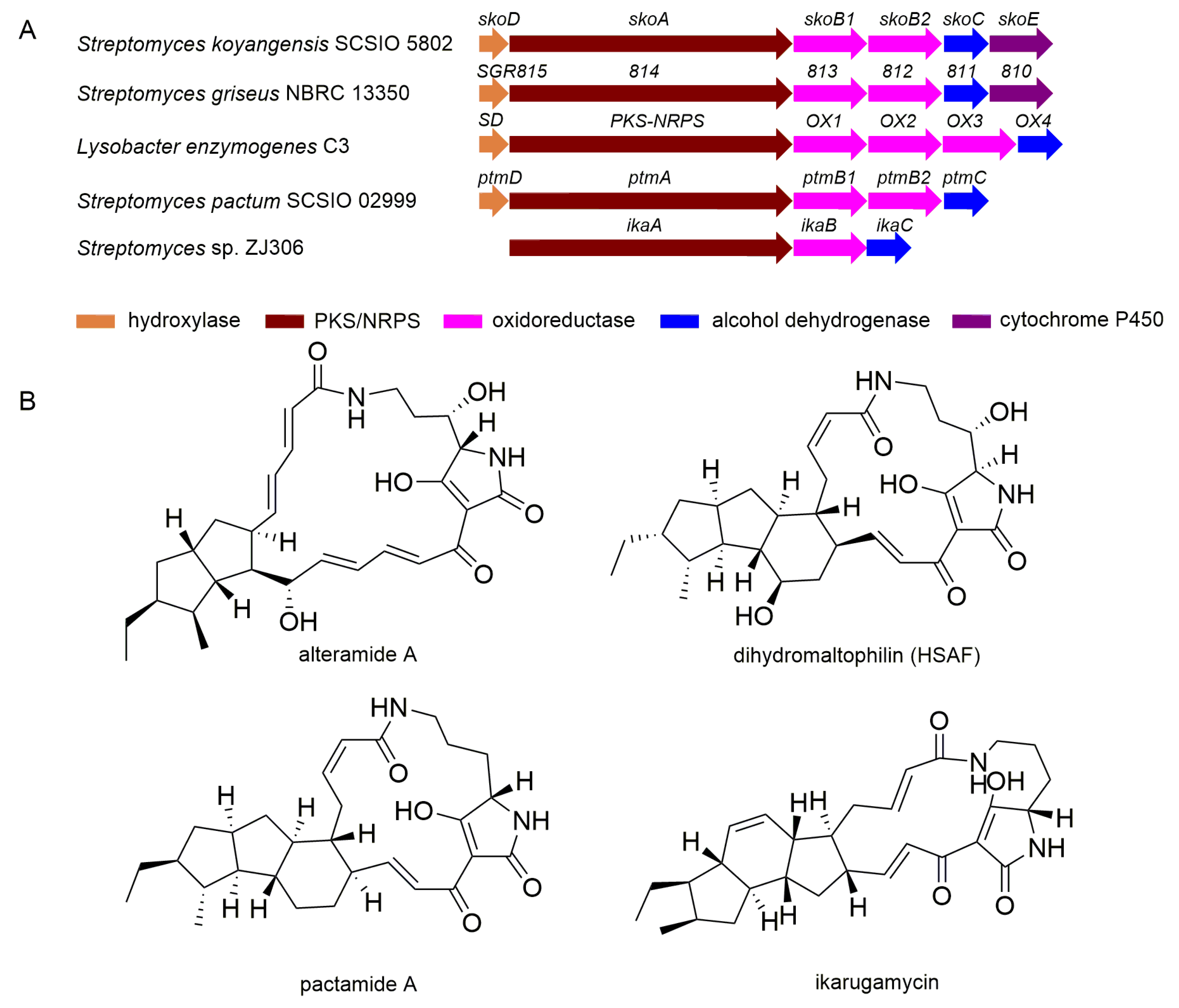 Marinedrugs 19 00440 g005