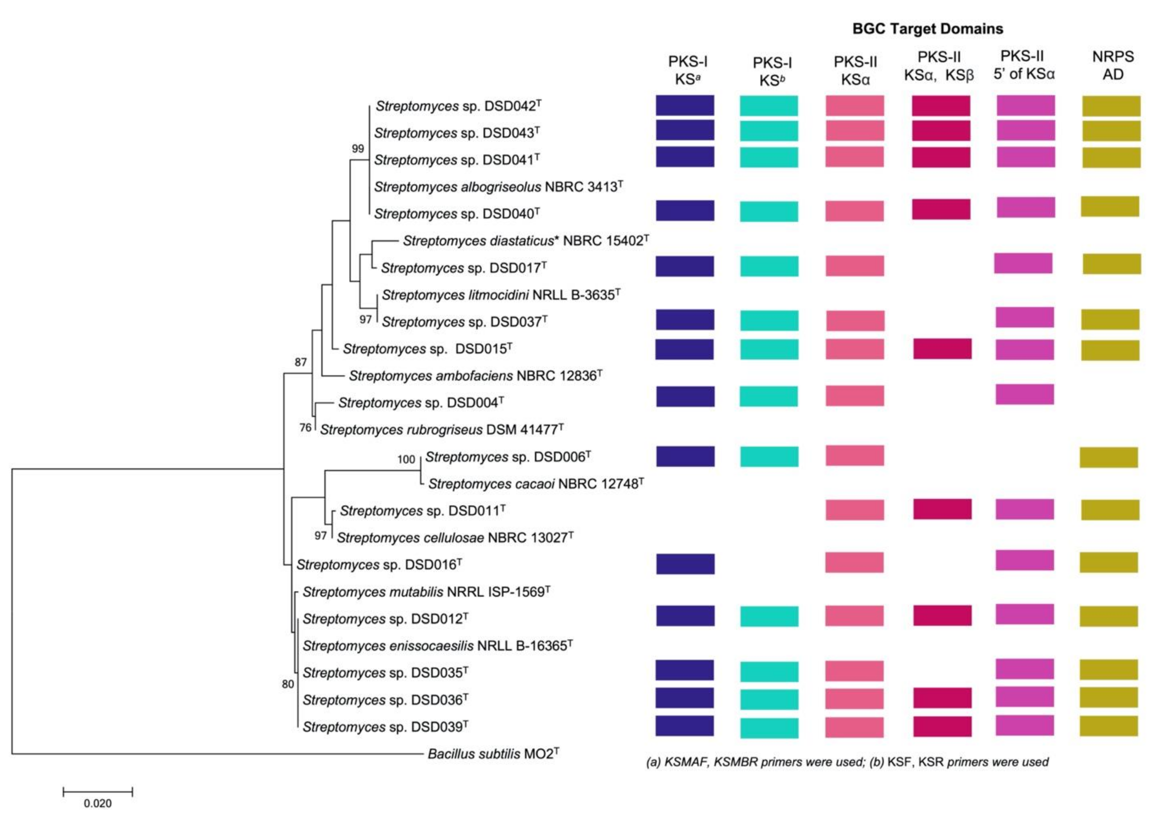 Marinedrugs 19 00441 g002 Marinedrugs 19 00441 g002